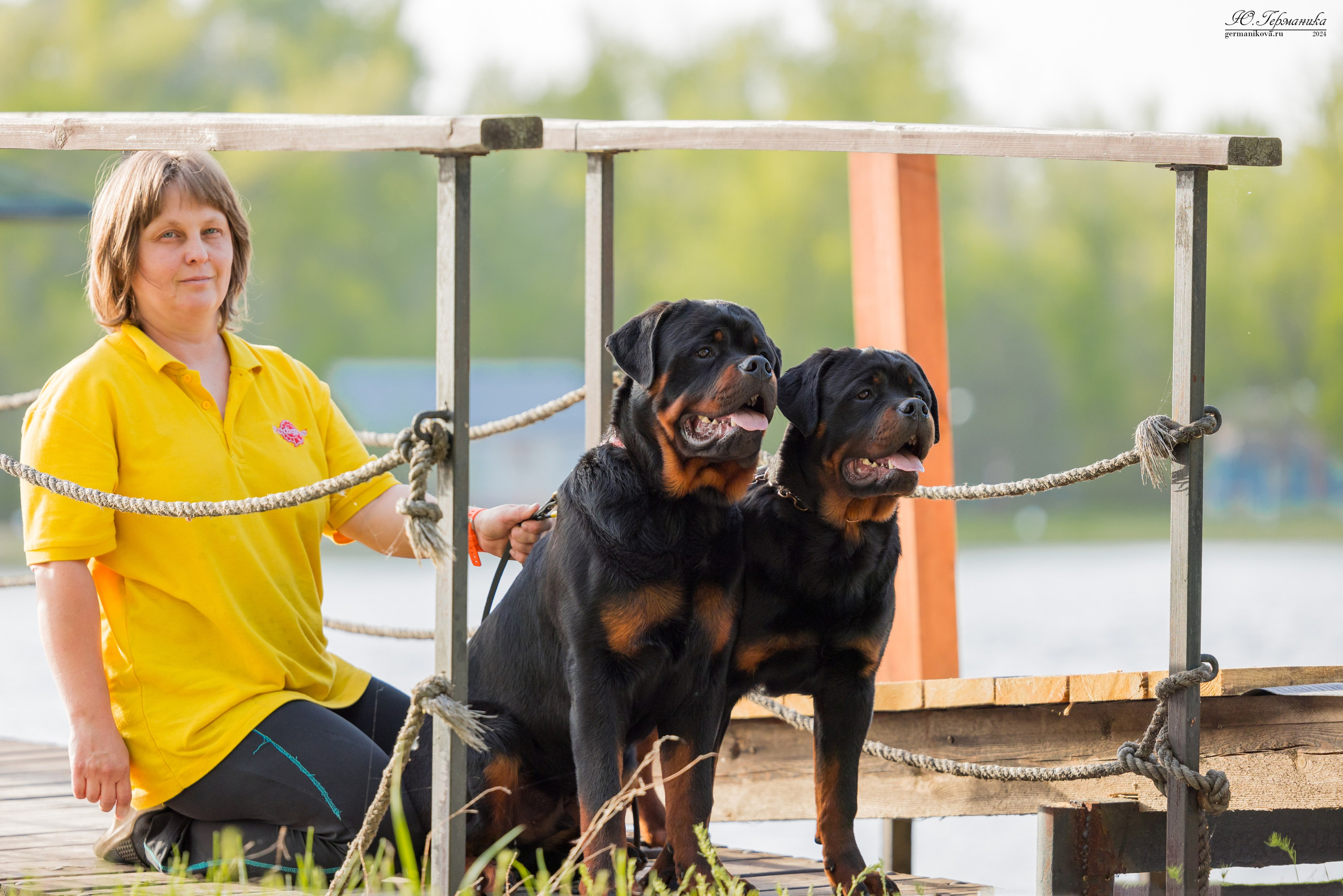 Саратов 2 х моно ротвейлеров 28-29.04.2024. Фотограф-анималист Юлия Германика