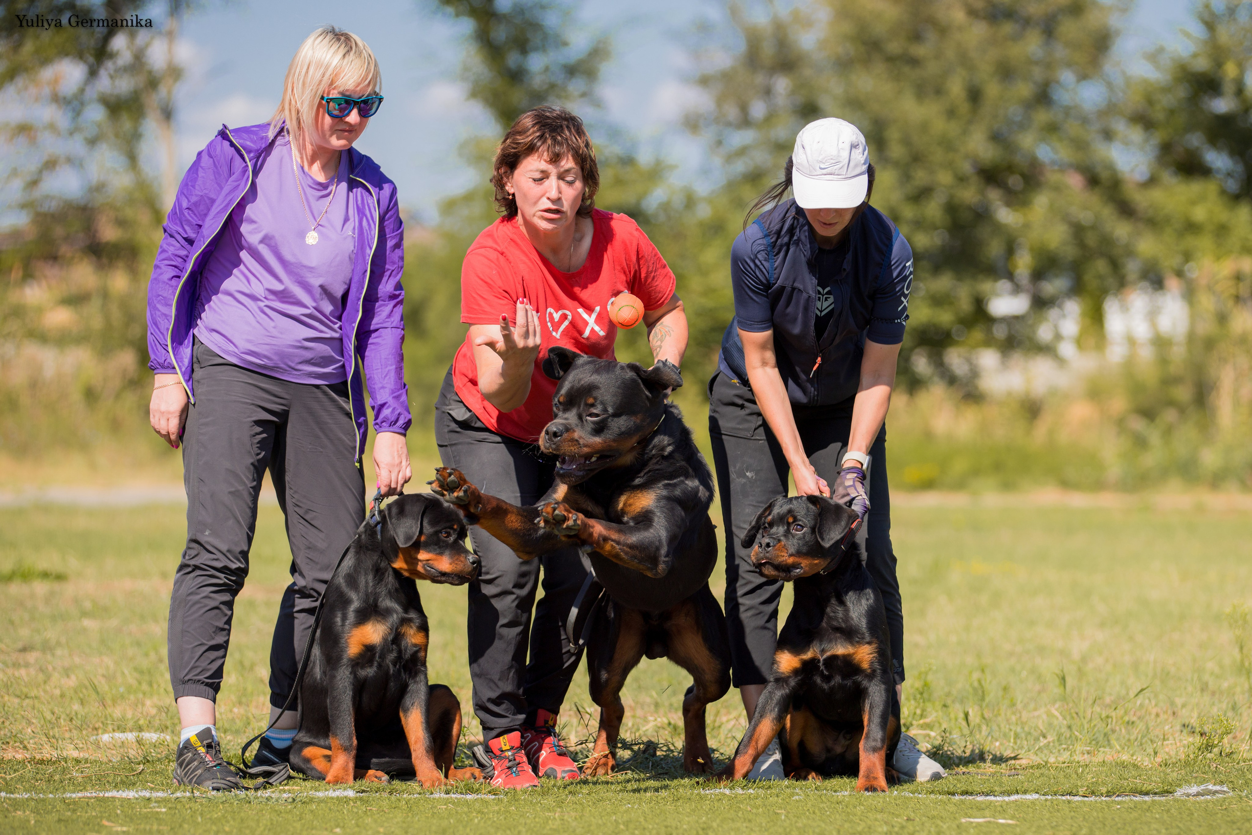 Анапа 16-17.09.2023 моно ротвейлеров. Фотограф-анималист Юлия Германика