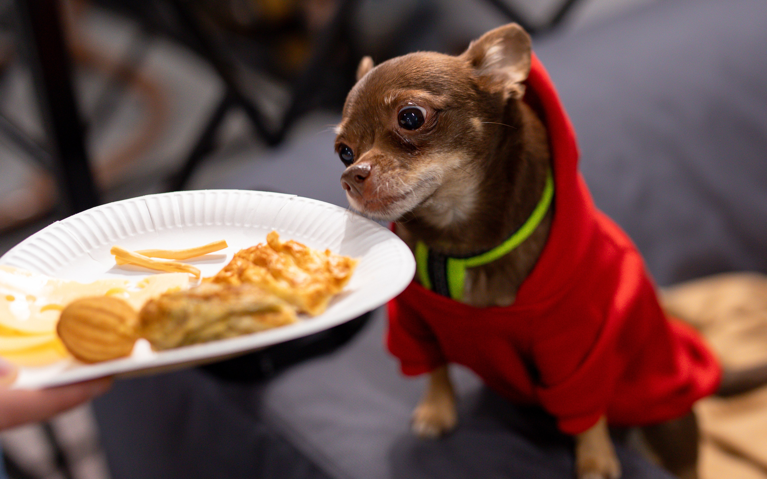 Reportage. Photographer Isida Sontz