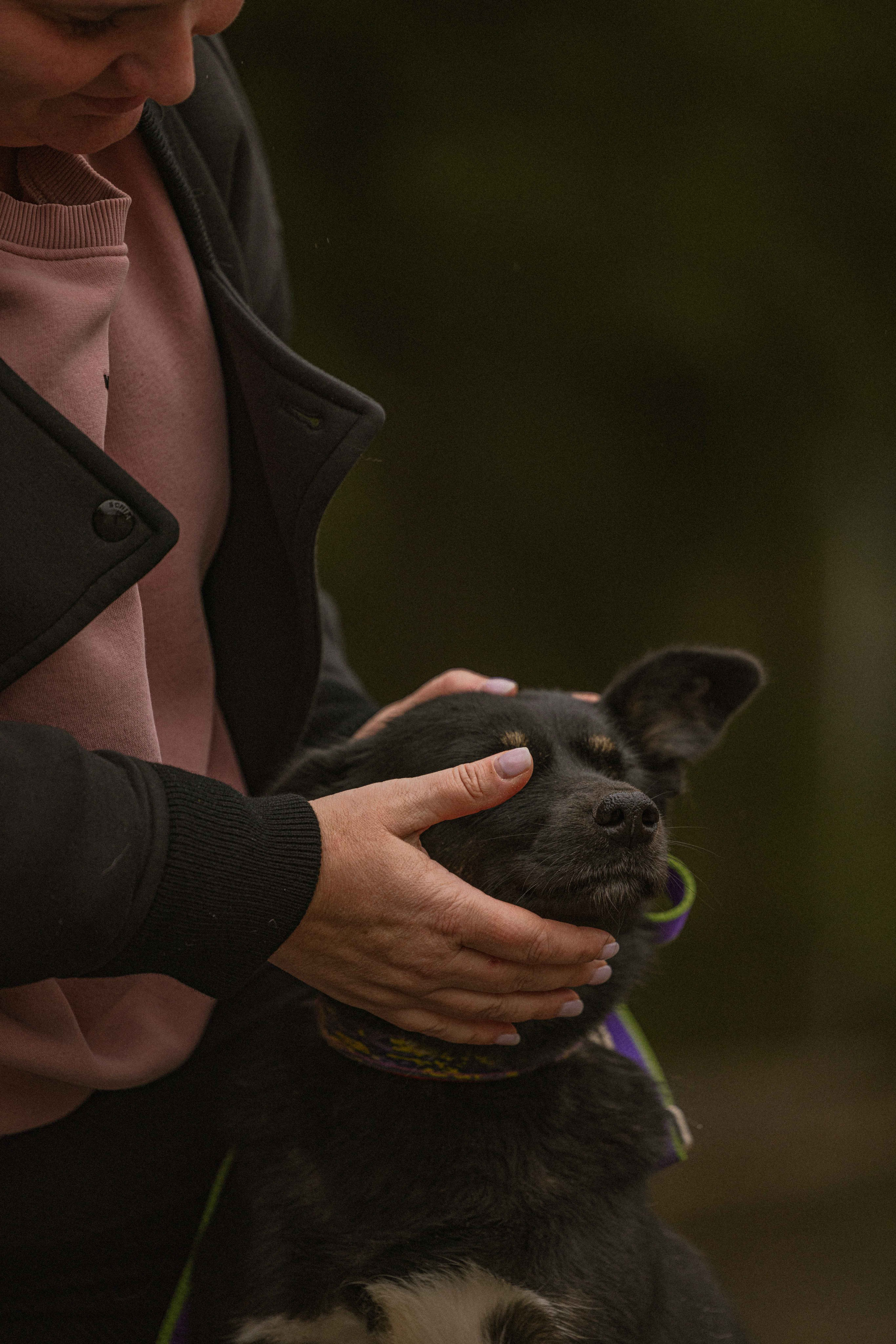 Передержка. Фотограф-анималист в Москве Лера Черноног