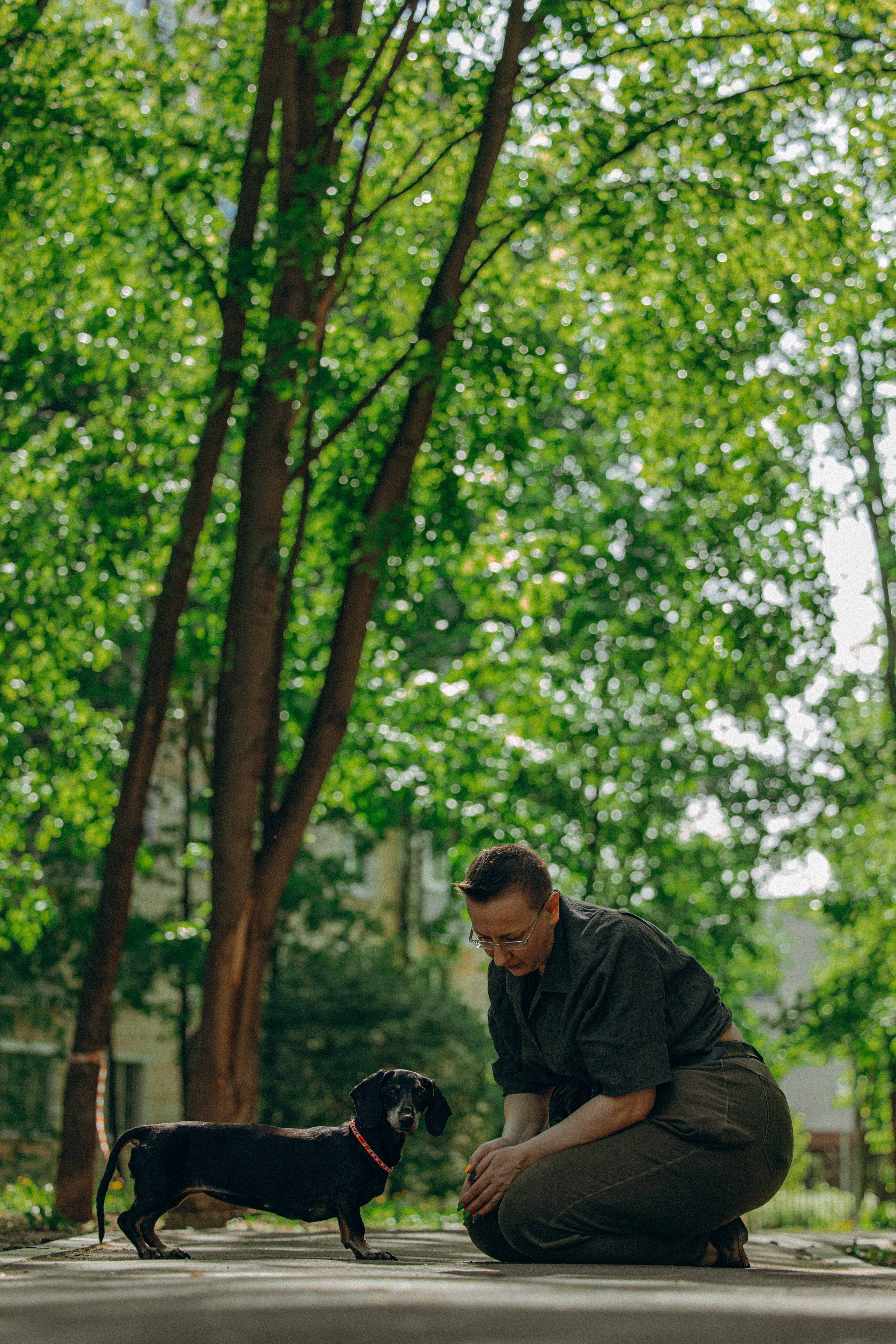 Наталья, Марфа и Норд. Фотограф-анималист в Москве Лера Черноног