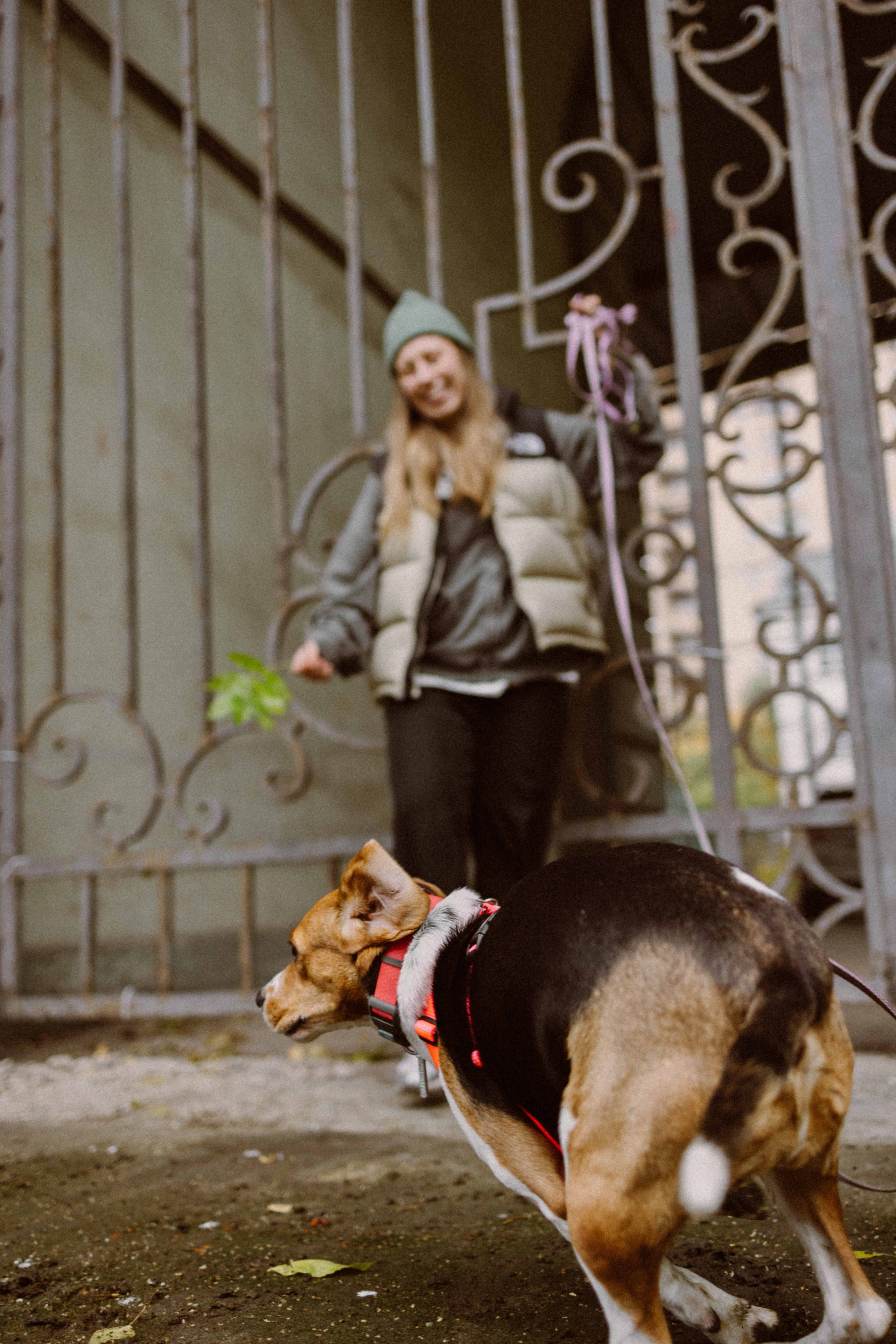 Света и Ива. Фотограф-анималист в Москве Лера Черноног