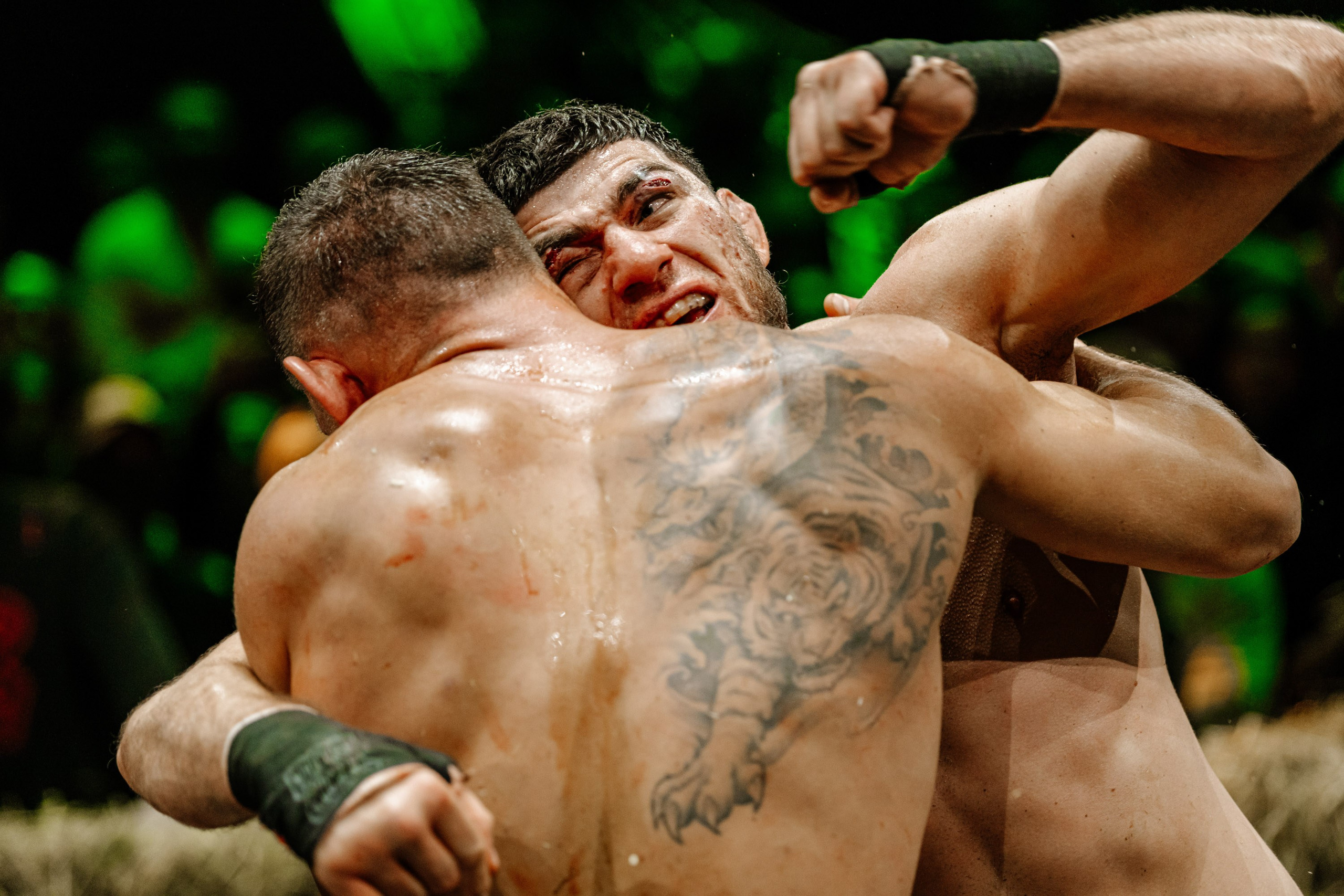 TOP DOG. Максим Комаров — Профессиональный фотограф