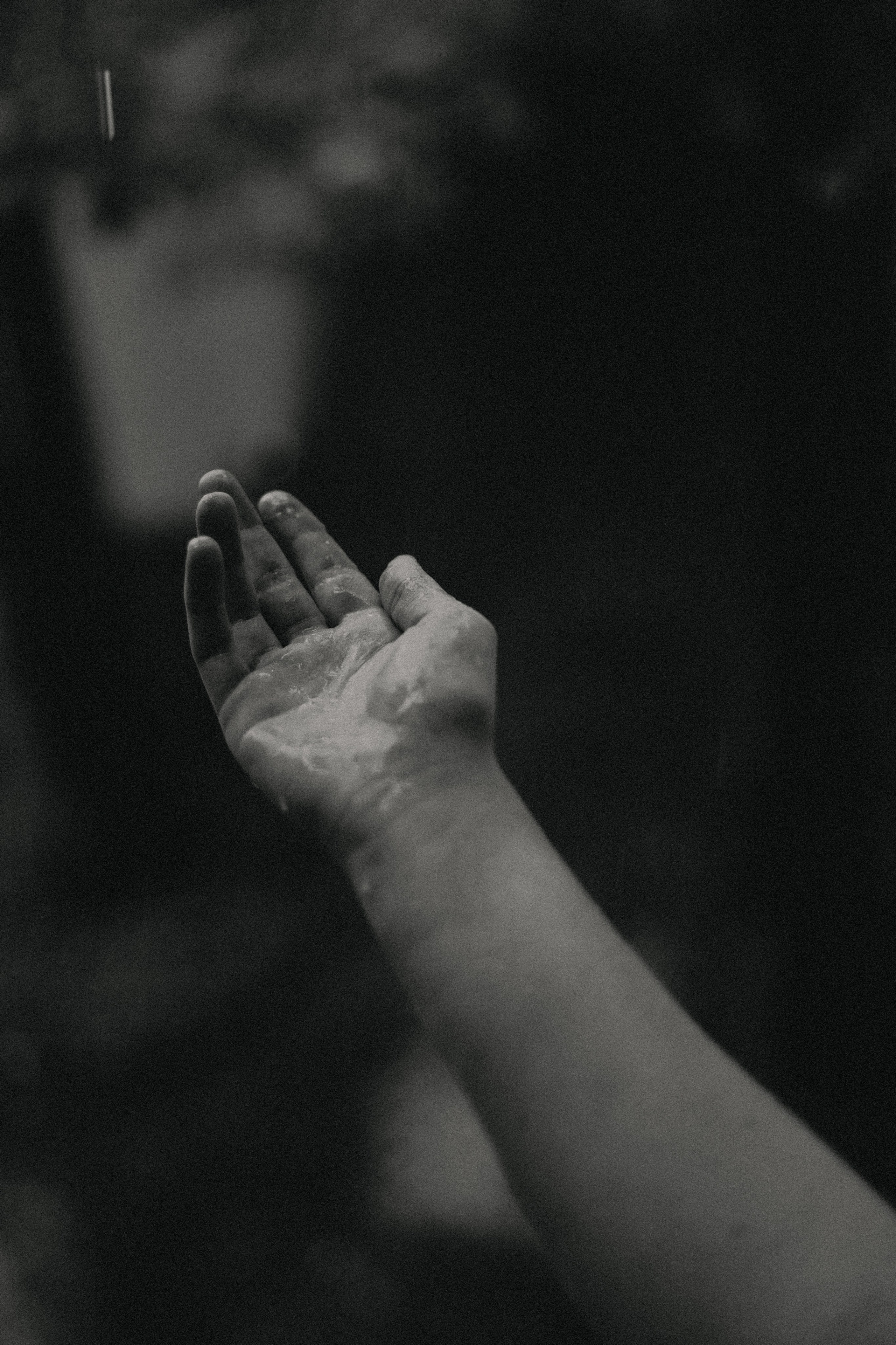 Лиза. Фотограф Блинова Арина | Санк-Петербург