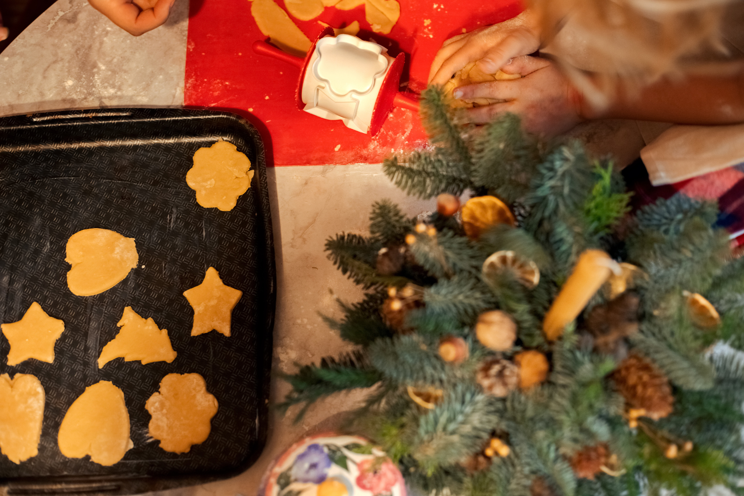 Домашние фотоистории. Фотограф в Санкт-Петербурге и Ленинградской области Екатерина Захарова