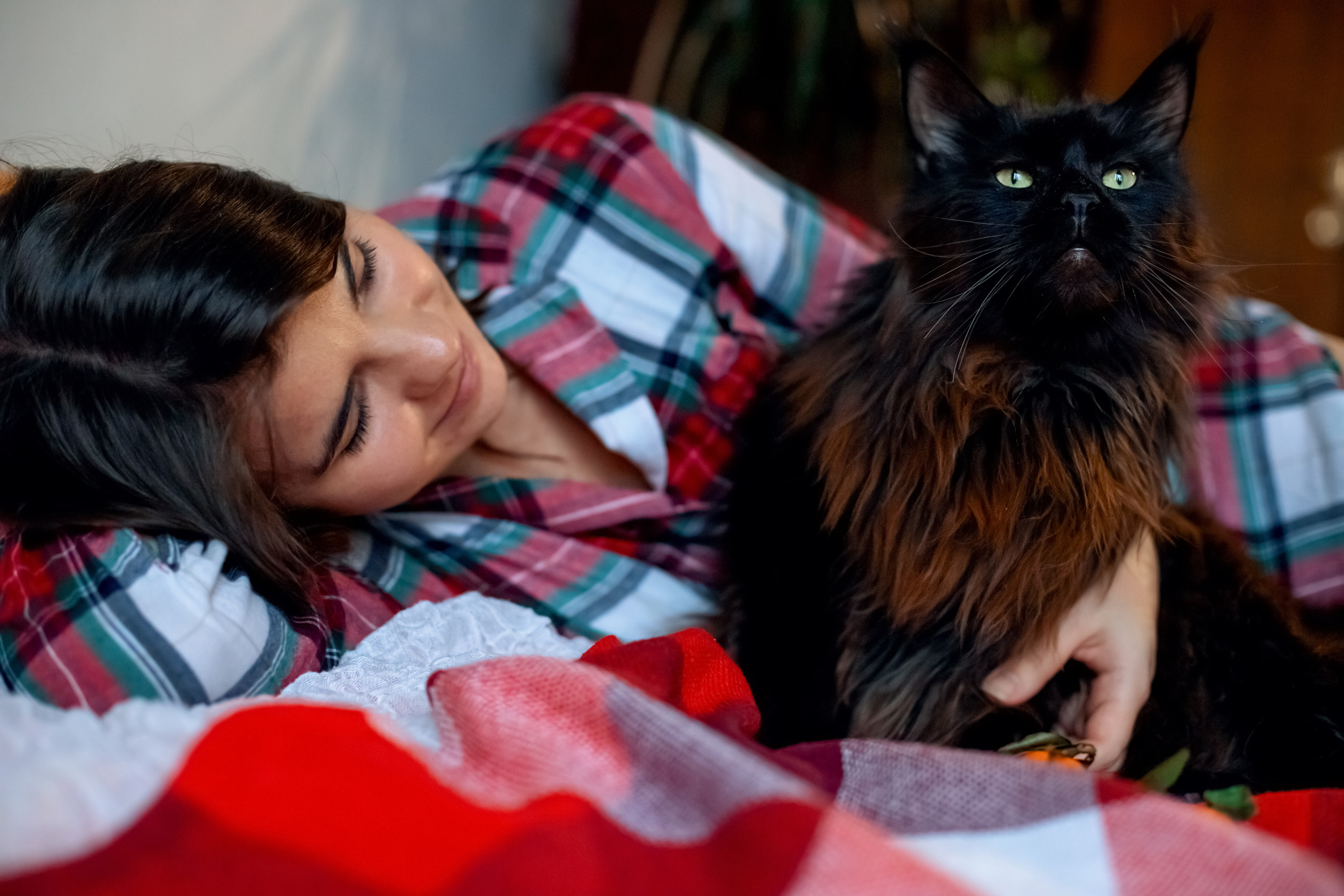 Домашние фотоистории. Фотограф в Санкт-Петербурге и Ленинградской области Екатерина Захарова