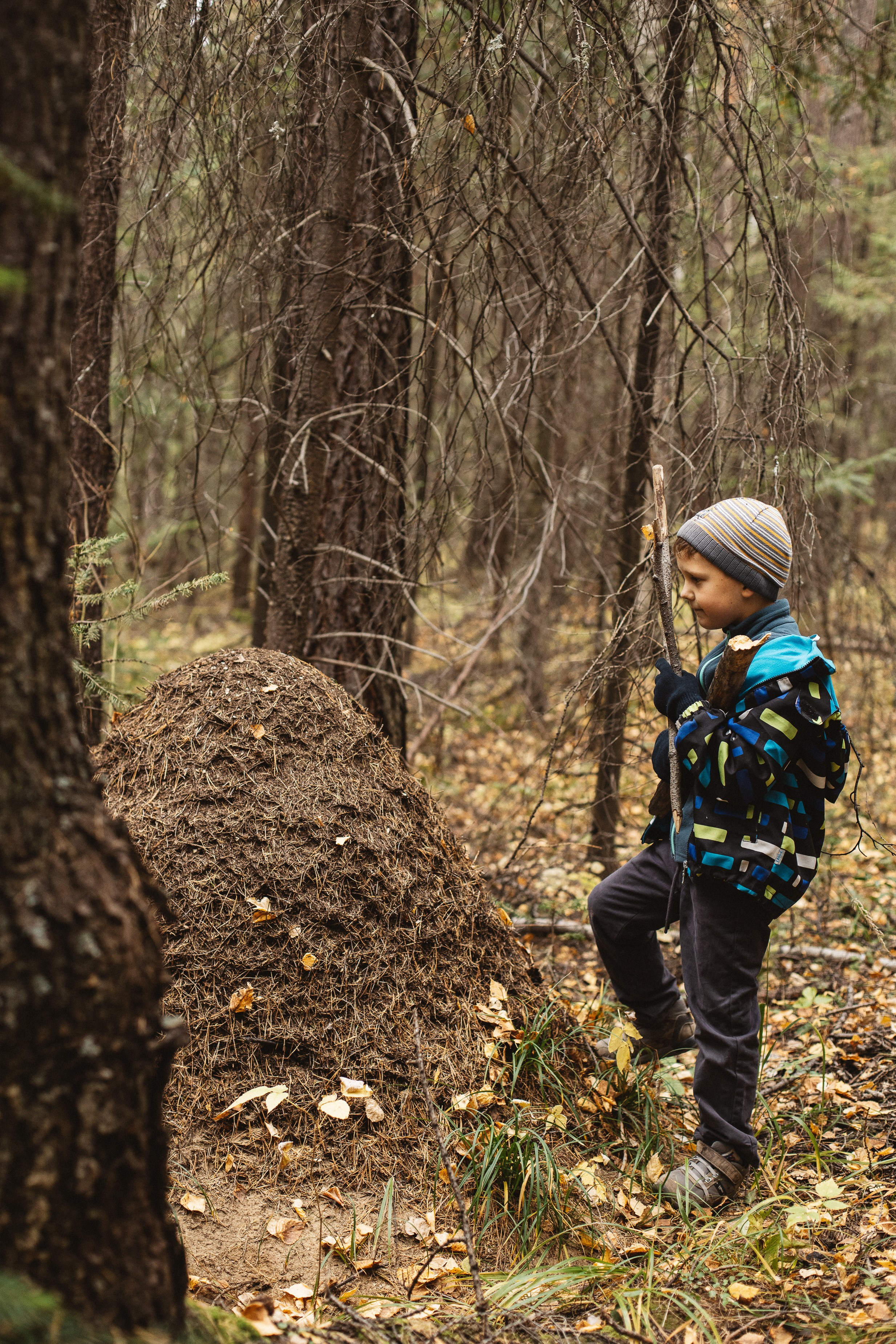 Семь Братьев. Семейный фотограф Трусова Евгения в Екатеринбурге