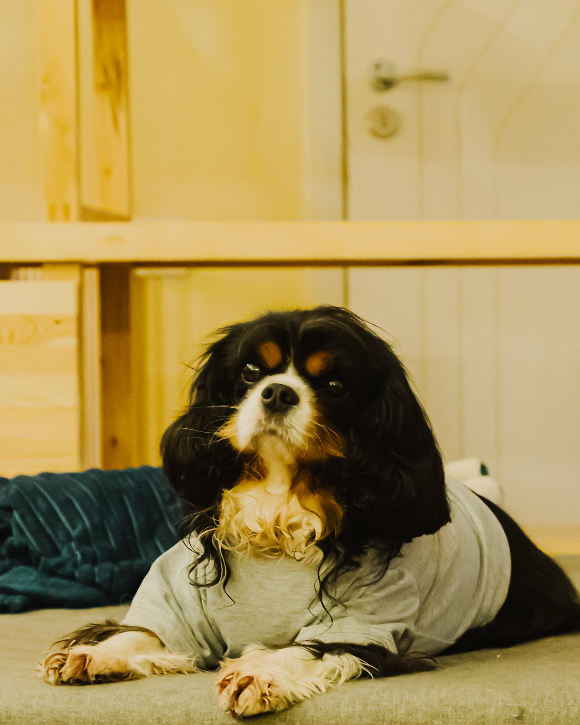 Гилдин. Портретный фотограф Ванинен Анастасия. Санкт-Петербург