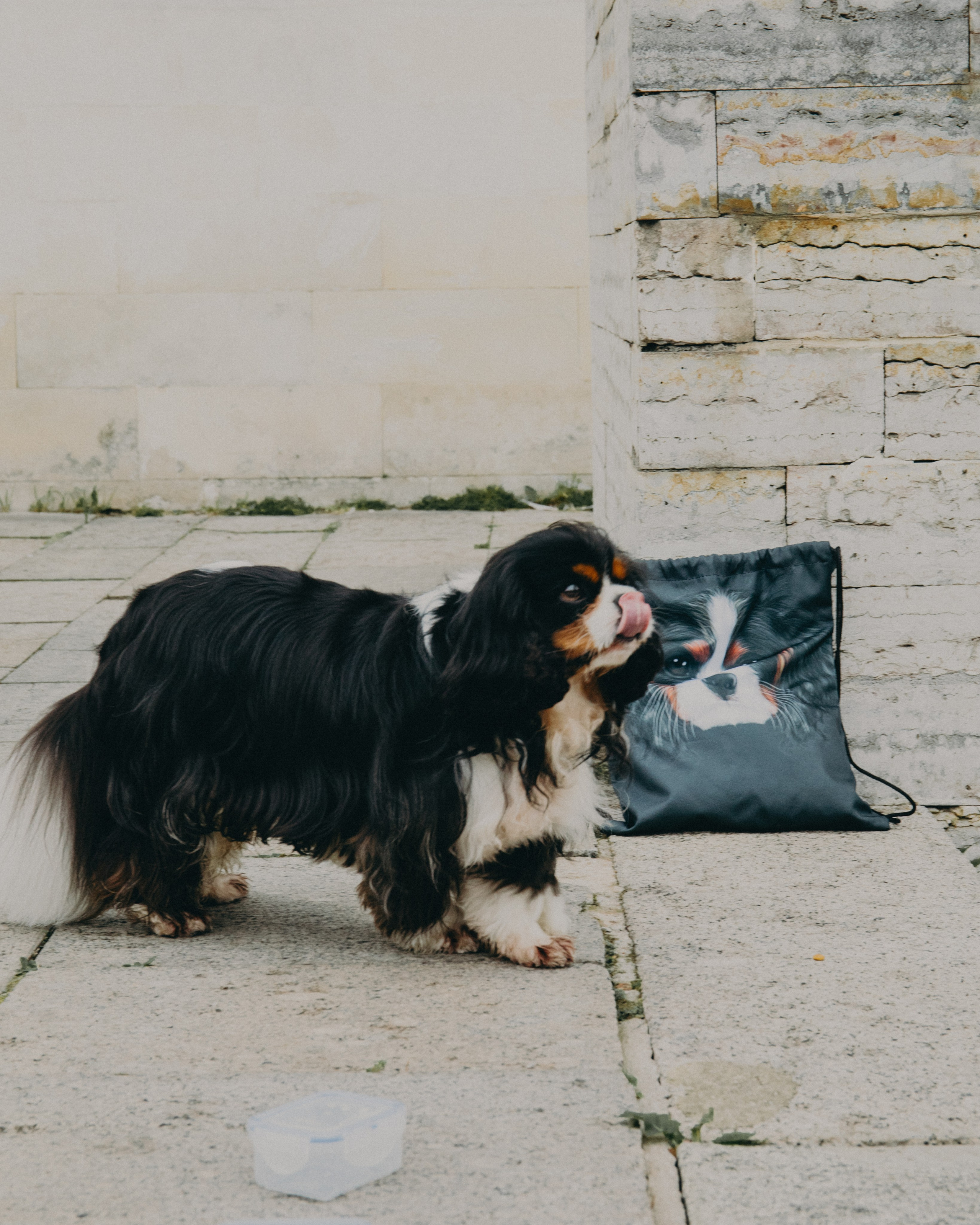 Гилдин. Портретный фотограф Ванинен Анастасия. Санкт-Петербург