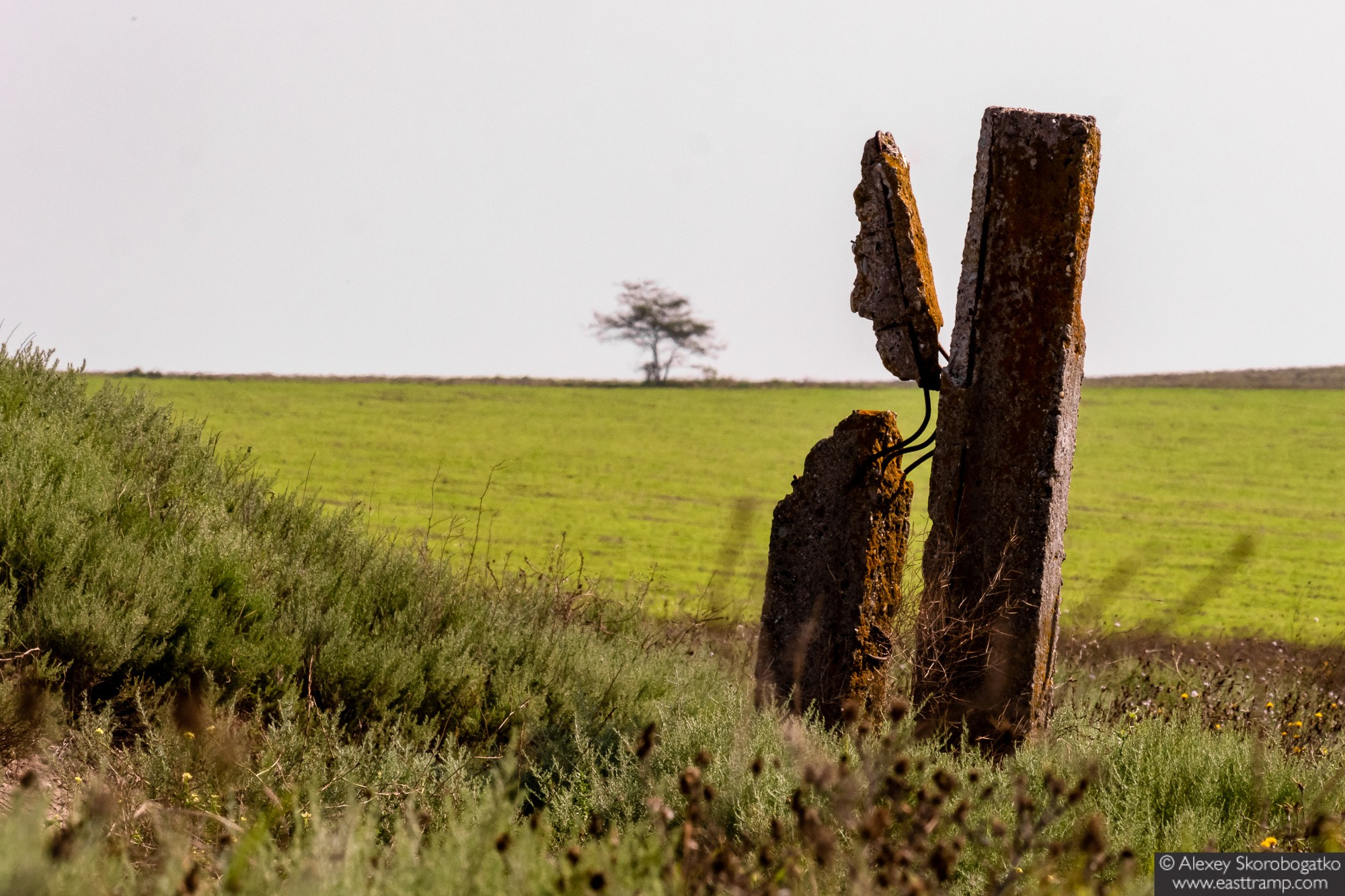 Археологические раскопки некрополя Кыз-Аул в Крыму. Фотограф Алексей Скоробогатько
