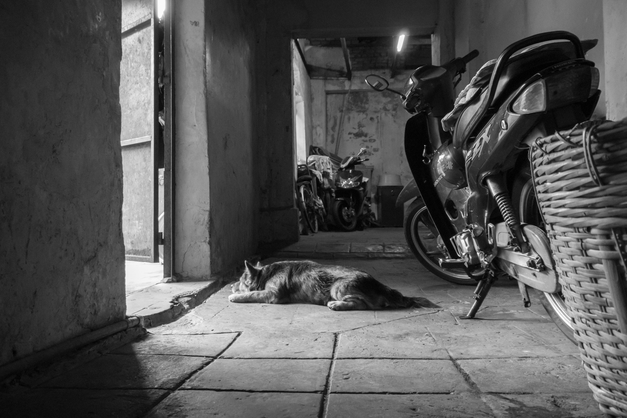 Чужие здесь не ходят. Сайгон, Вьетнам. Фотограф Алексей Скоробогатько