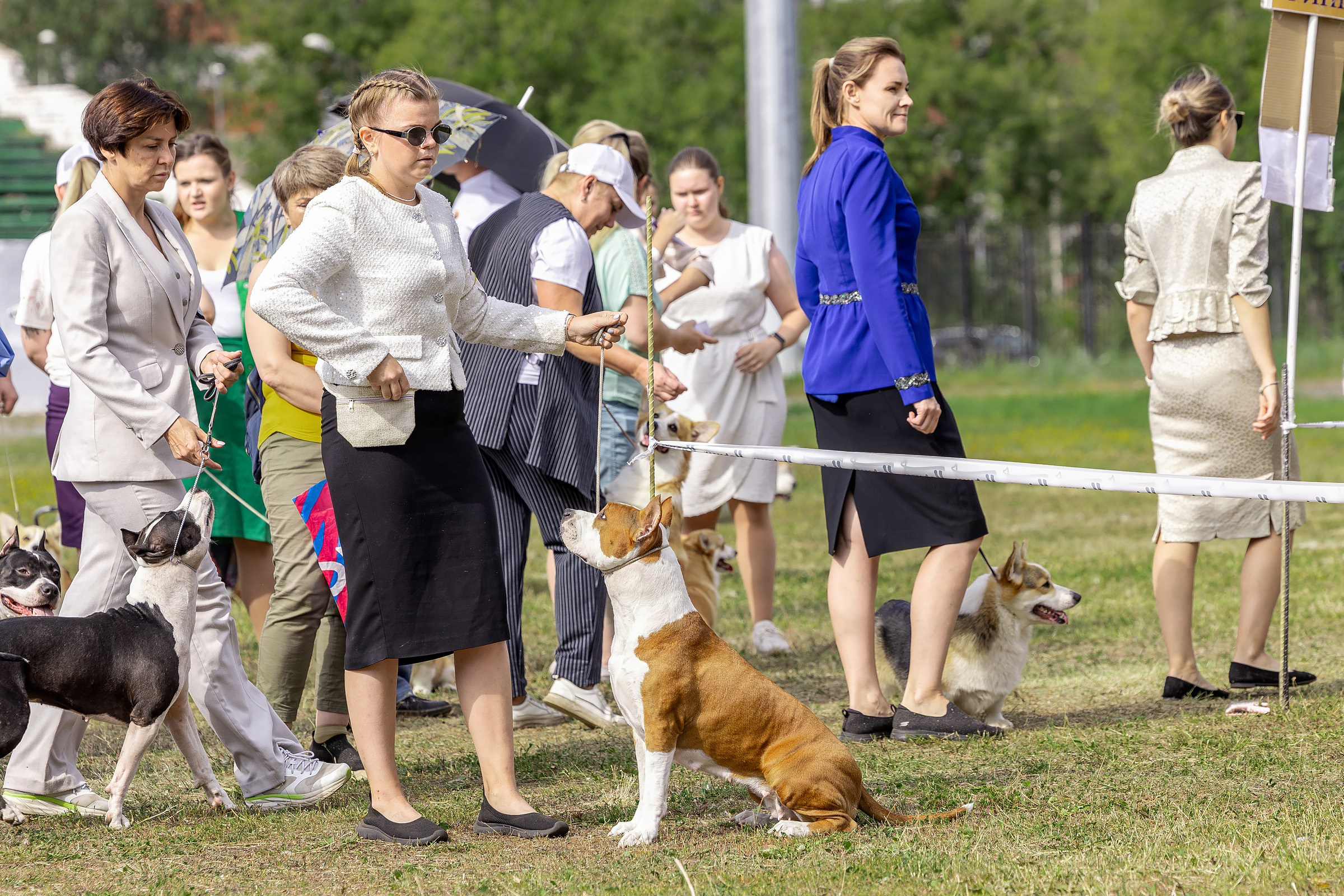 2–3 августа 2025, Выставка РКФ, г. Пермь. Htykk_photo