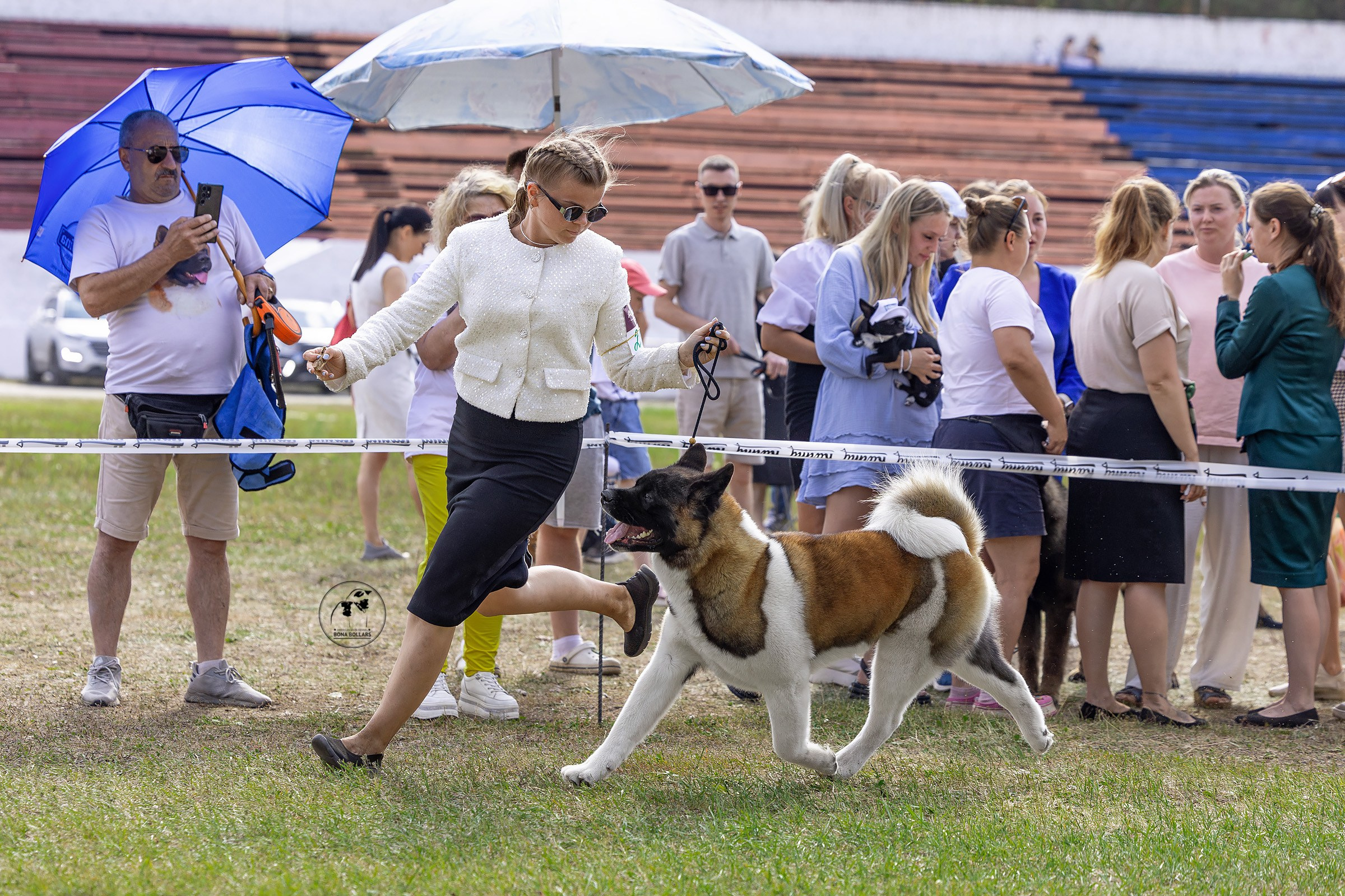 2–3 августа 2025, Выставка РКФ, г. Пермь. Htykk_photo