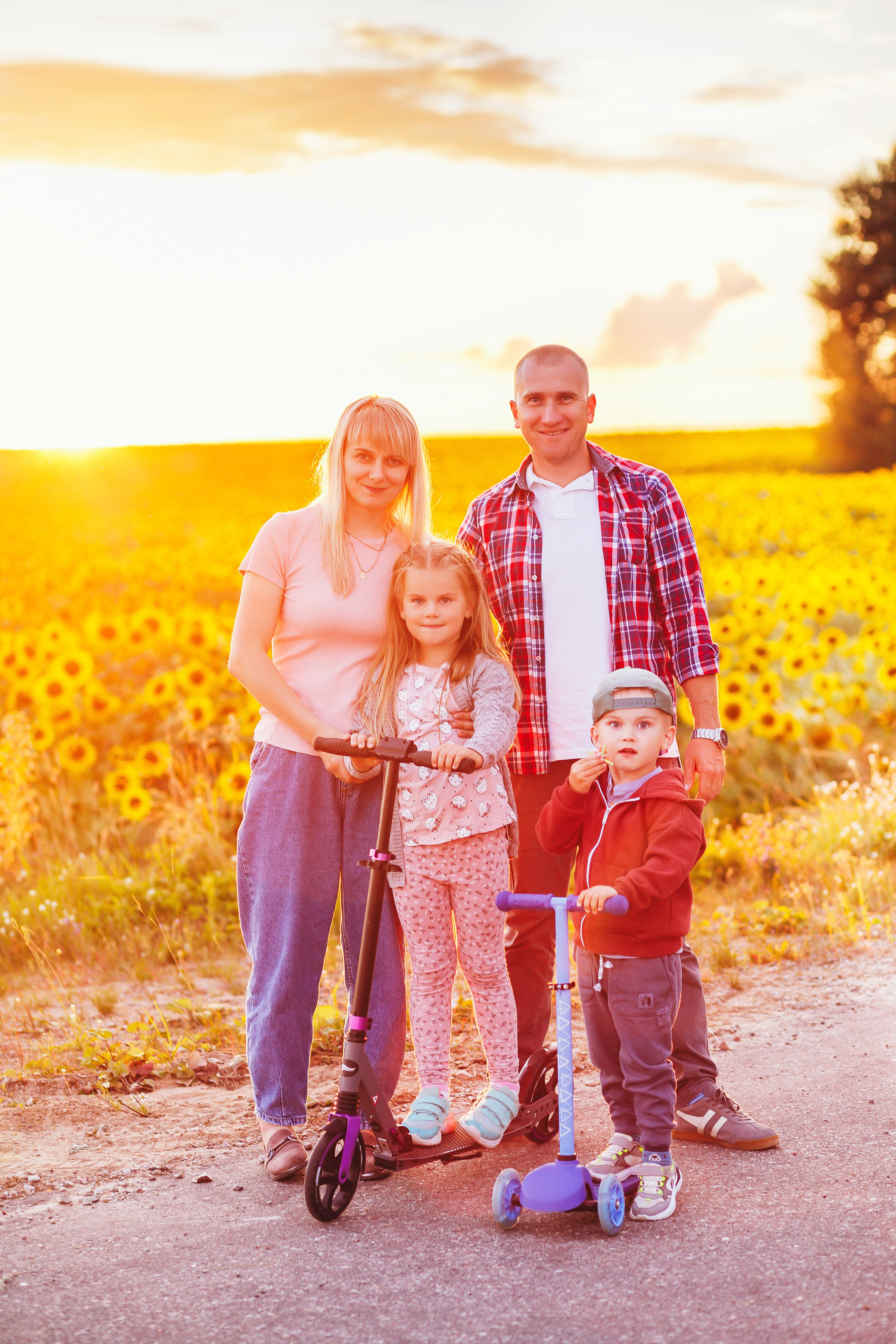 Sesja rodzinna w słonecznikach. Fotograf ślubny Białystok Warszawa Zakopane