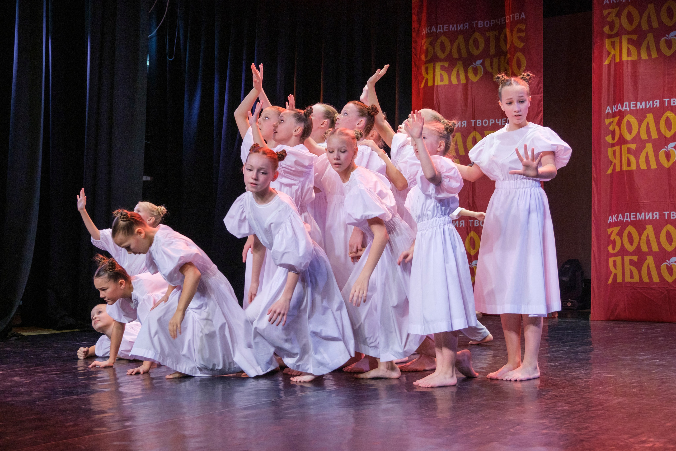 17 ноября, г. Великий Устюг. Золотое яблочко