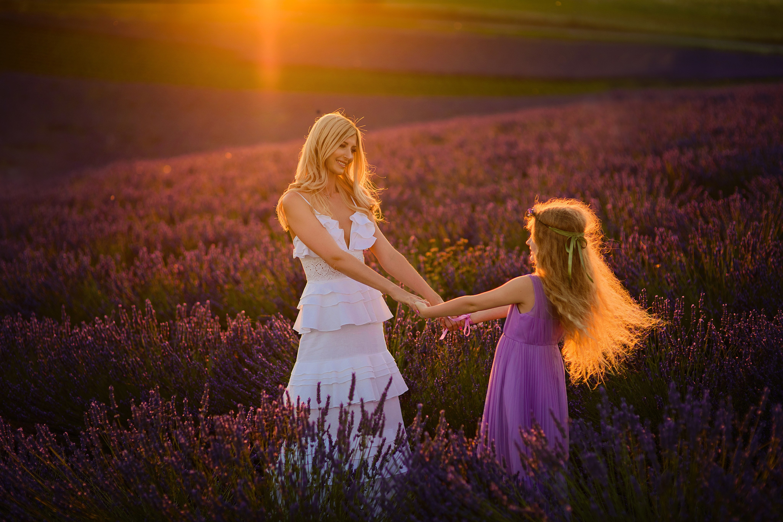 Lavender. Photographer in Provence Julia Lipiainen