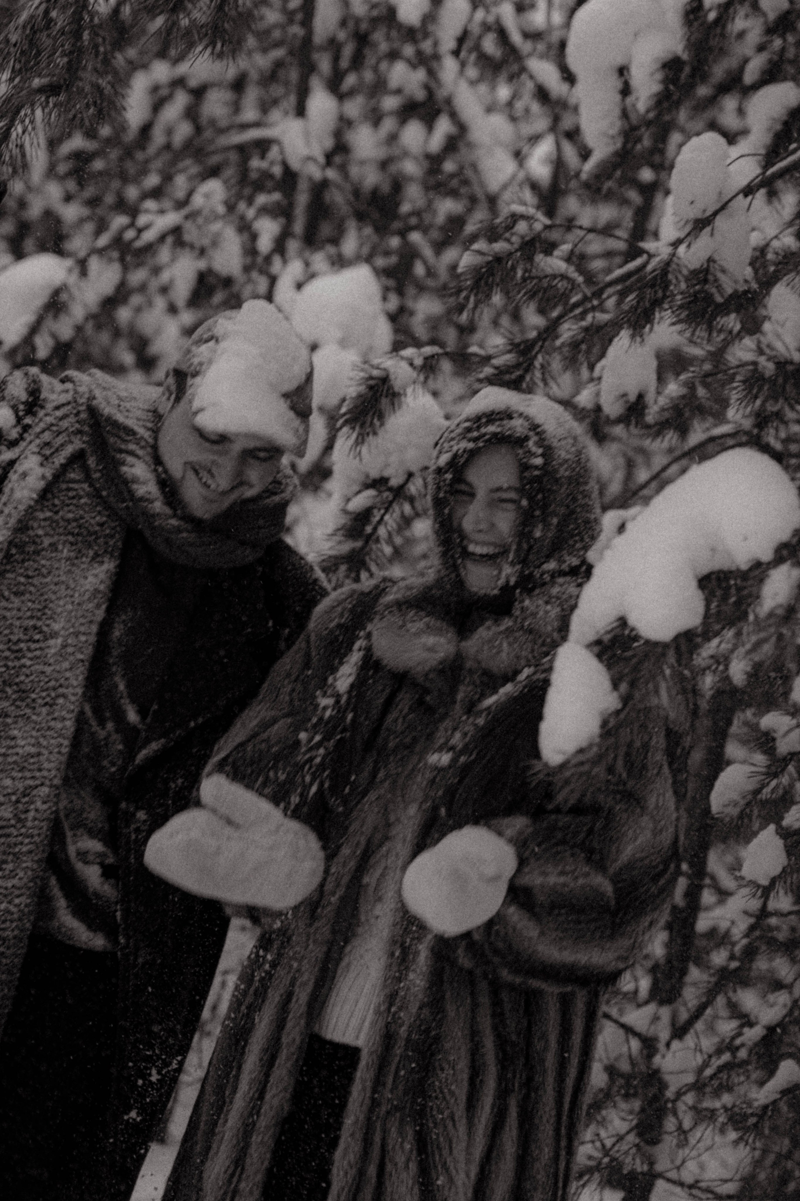 Очень зимние дела. Главная