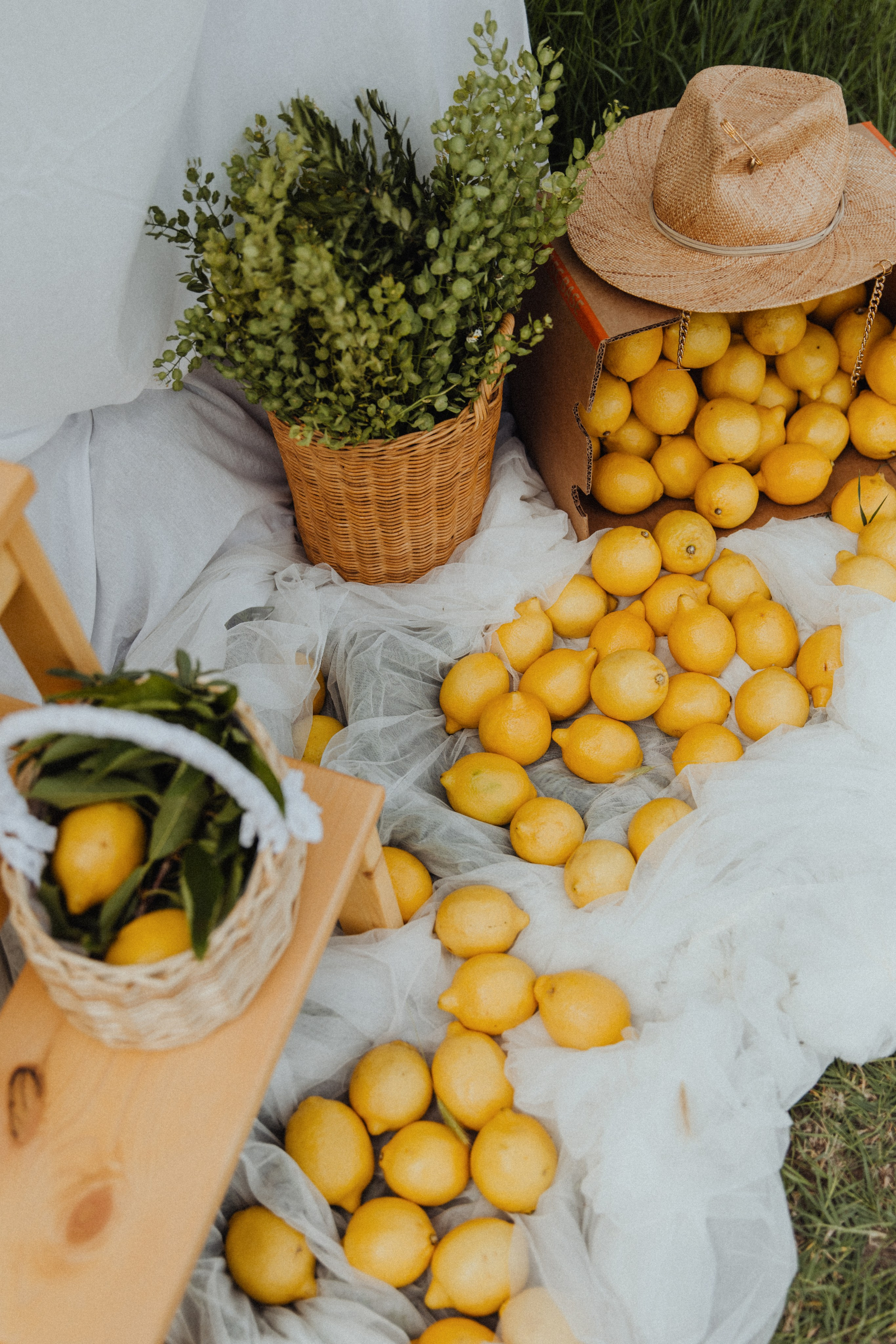 Lemon. Свадебный фотограф Анастасия Пальчикова