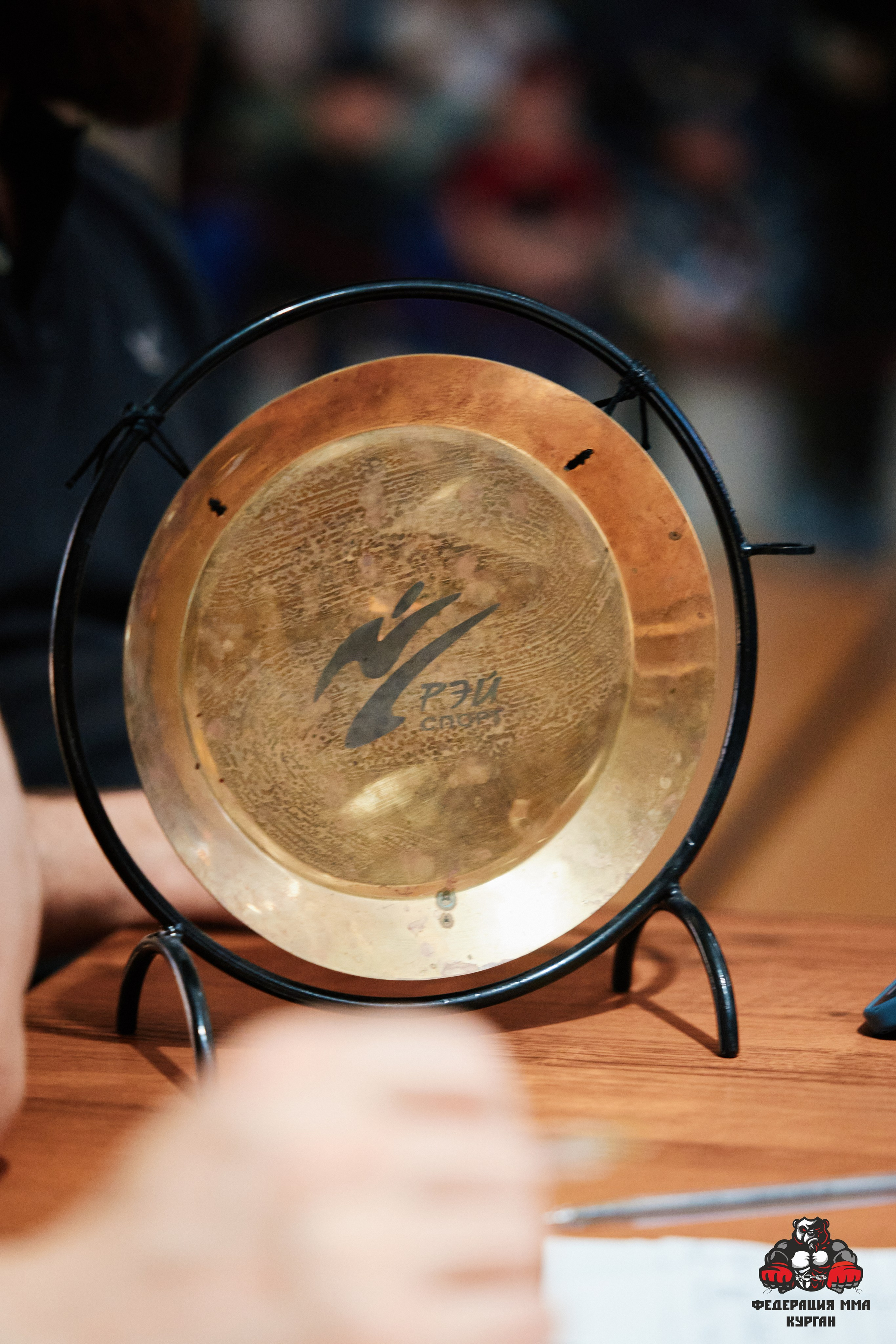 ММА. Фотограф и видеограф в Кургане Леонид Корнильев