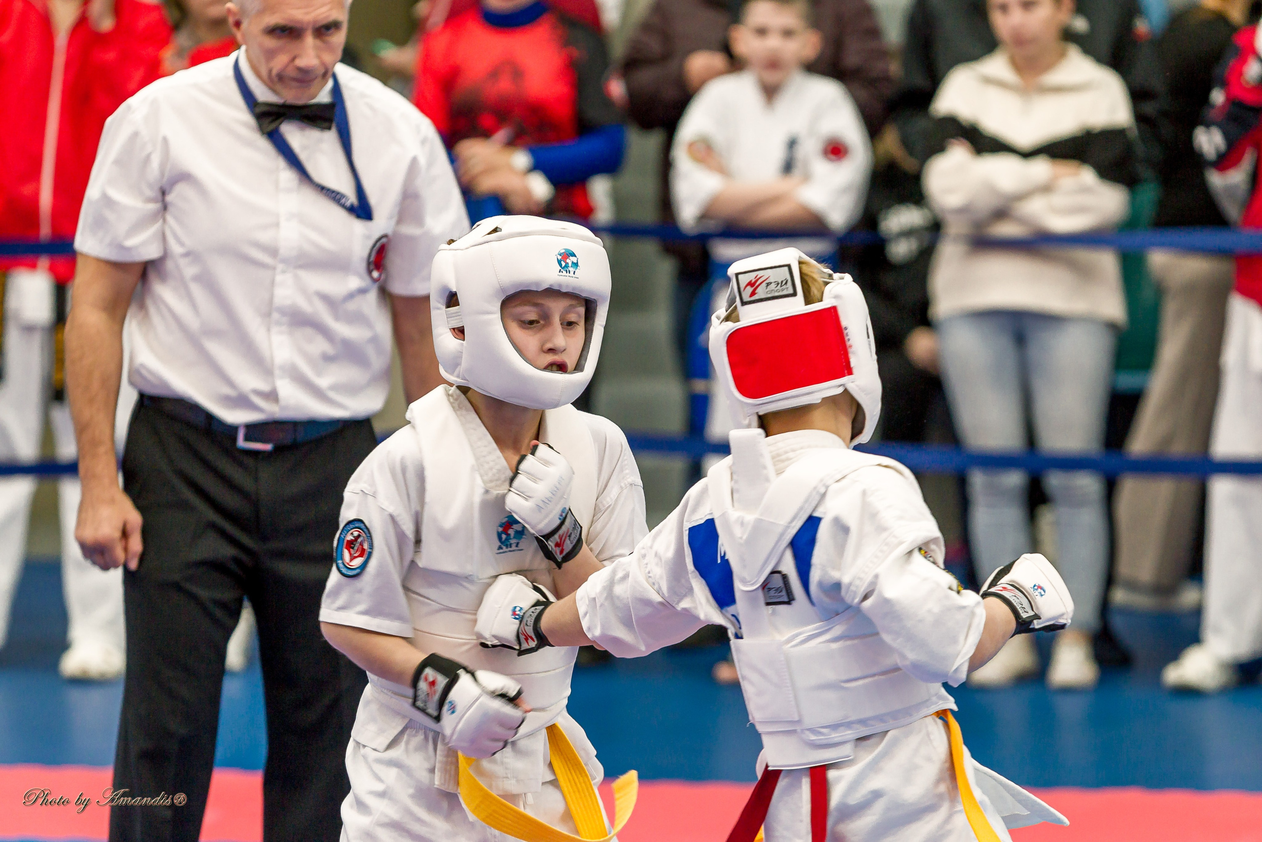Чемпионат по Киокушинкай Центрального Федерального округа. Репортажная съемка в Москве и области. Анималистика