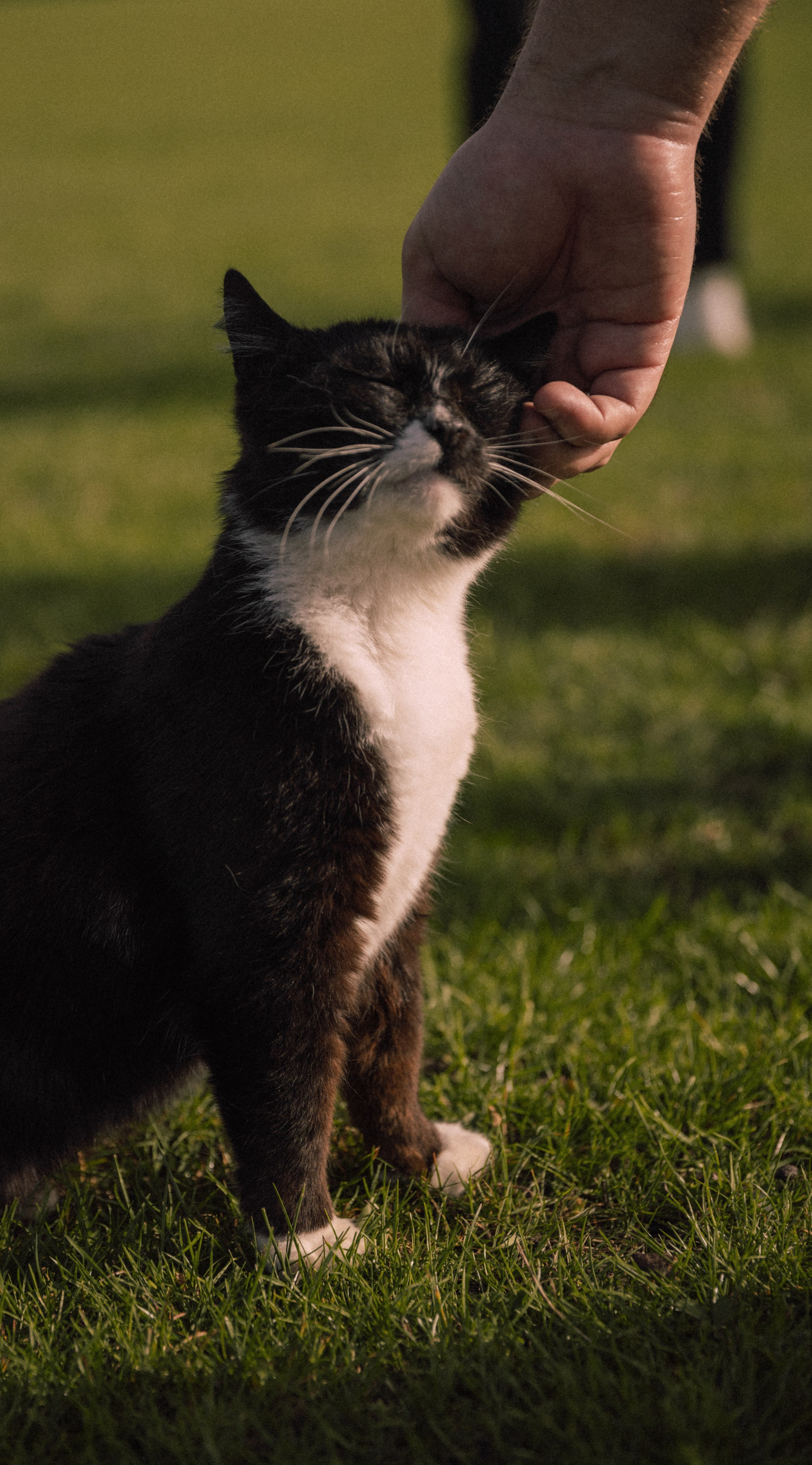 Владимировка. Фотограф Краснодар Юлия Бураченко Свадьбы Репортаж Семейные Индивидуальные съемки