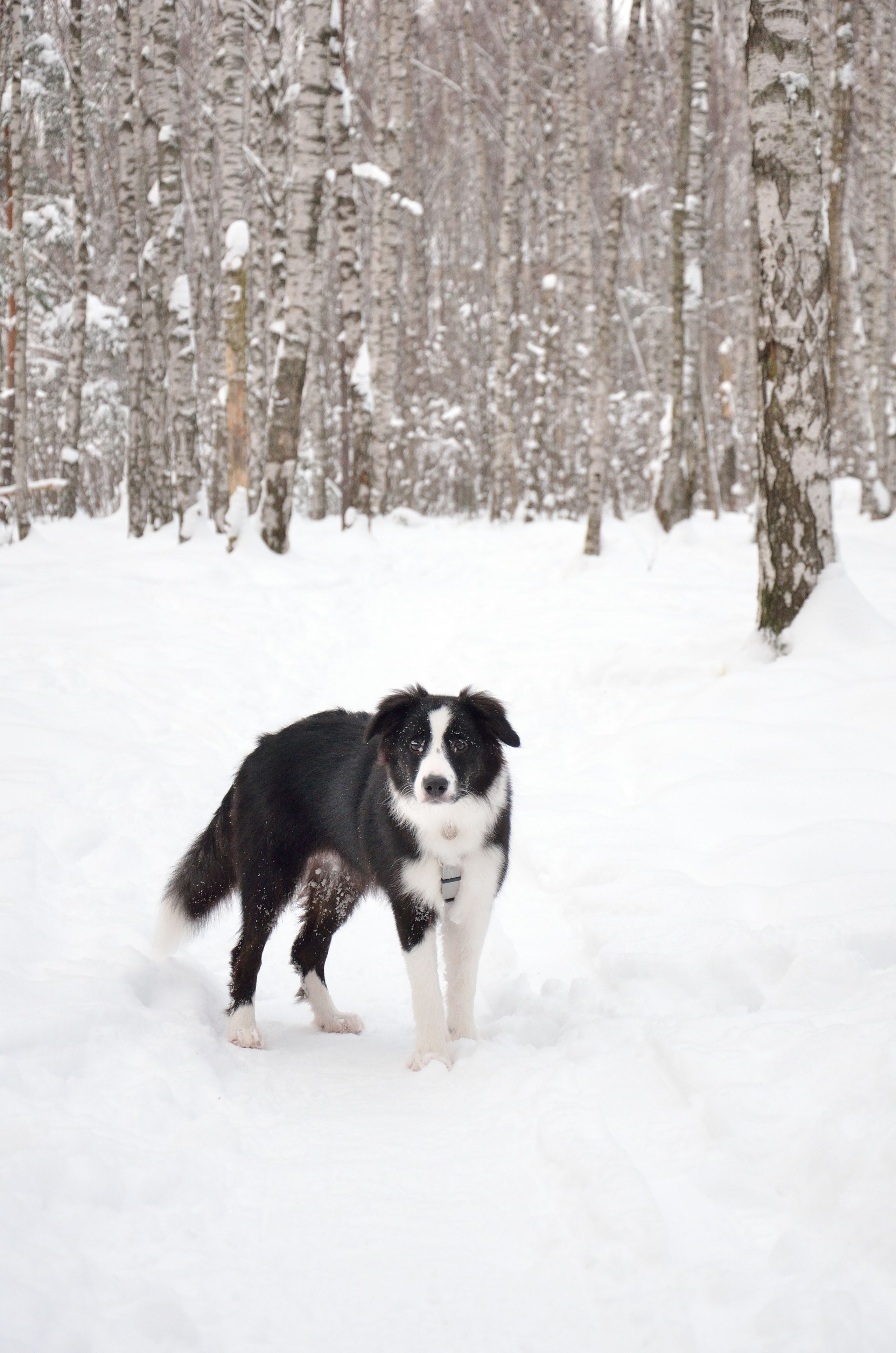 Муня. Добро пожаловать на мой сайт, меня зовут Наталия, я фотограф