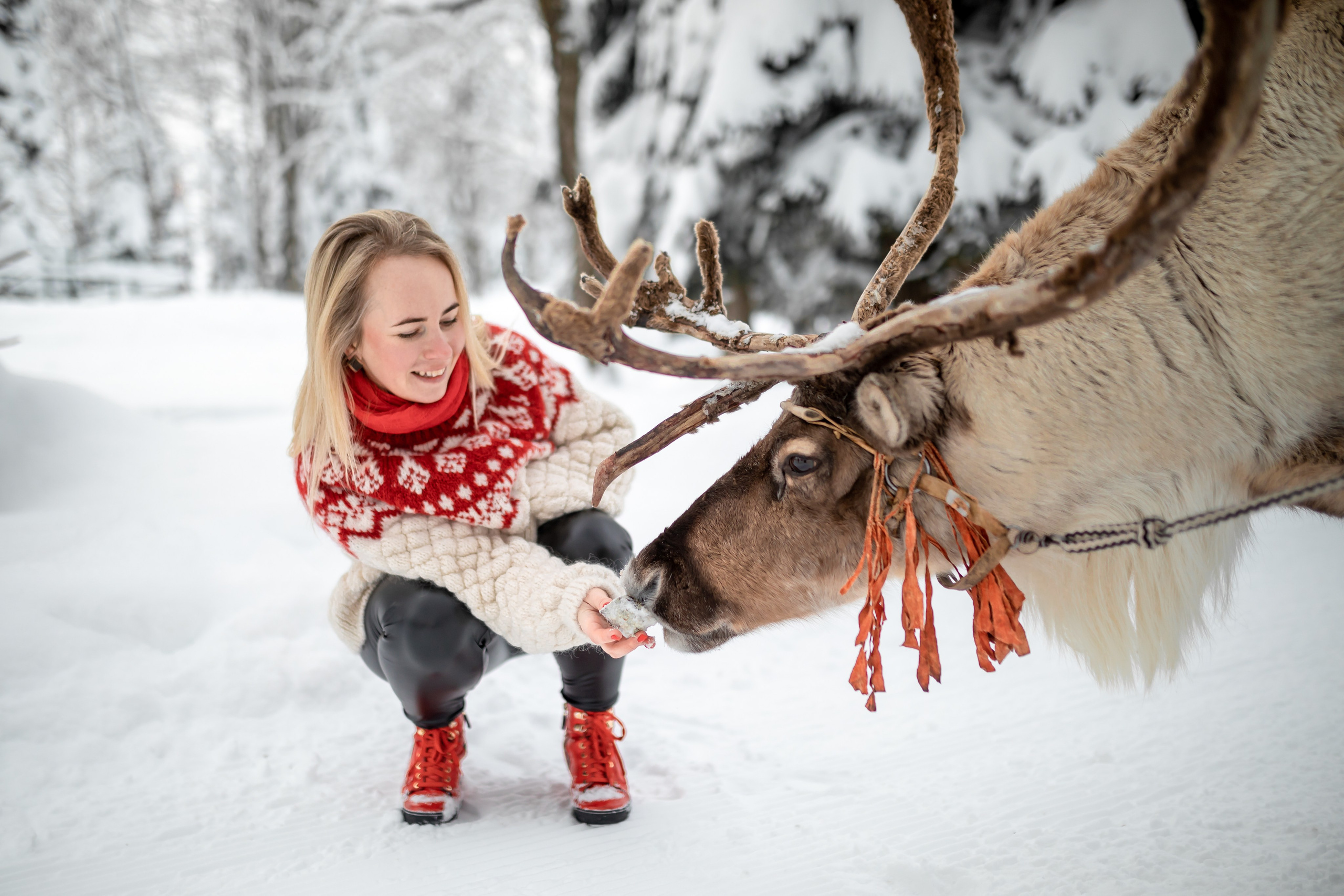 Женский портрет. Фотограф из Сочи Регина Труфанова