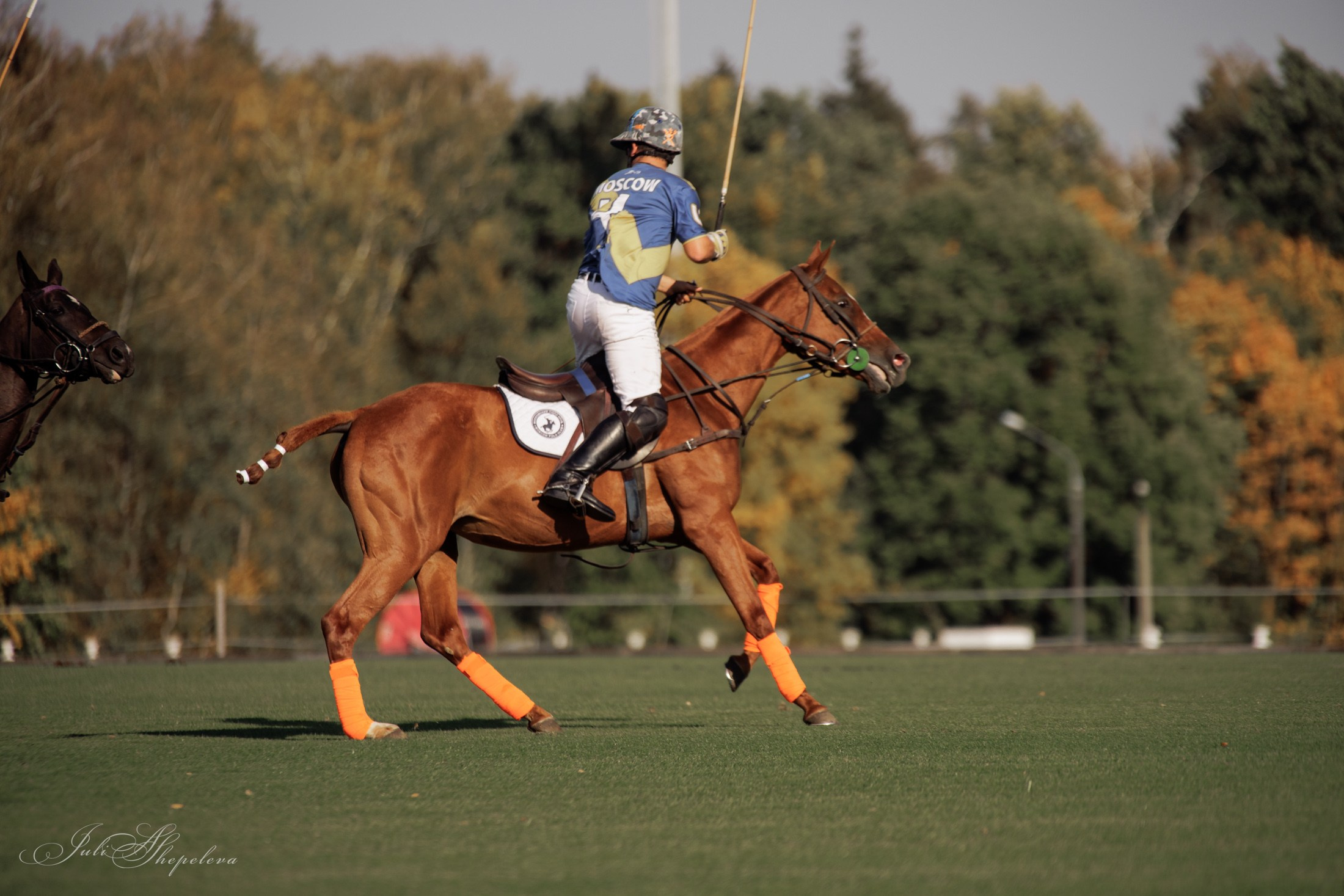 Осенний кубок по конному поло. Детская Конная фотография в Москве Юлия Шепелева