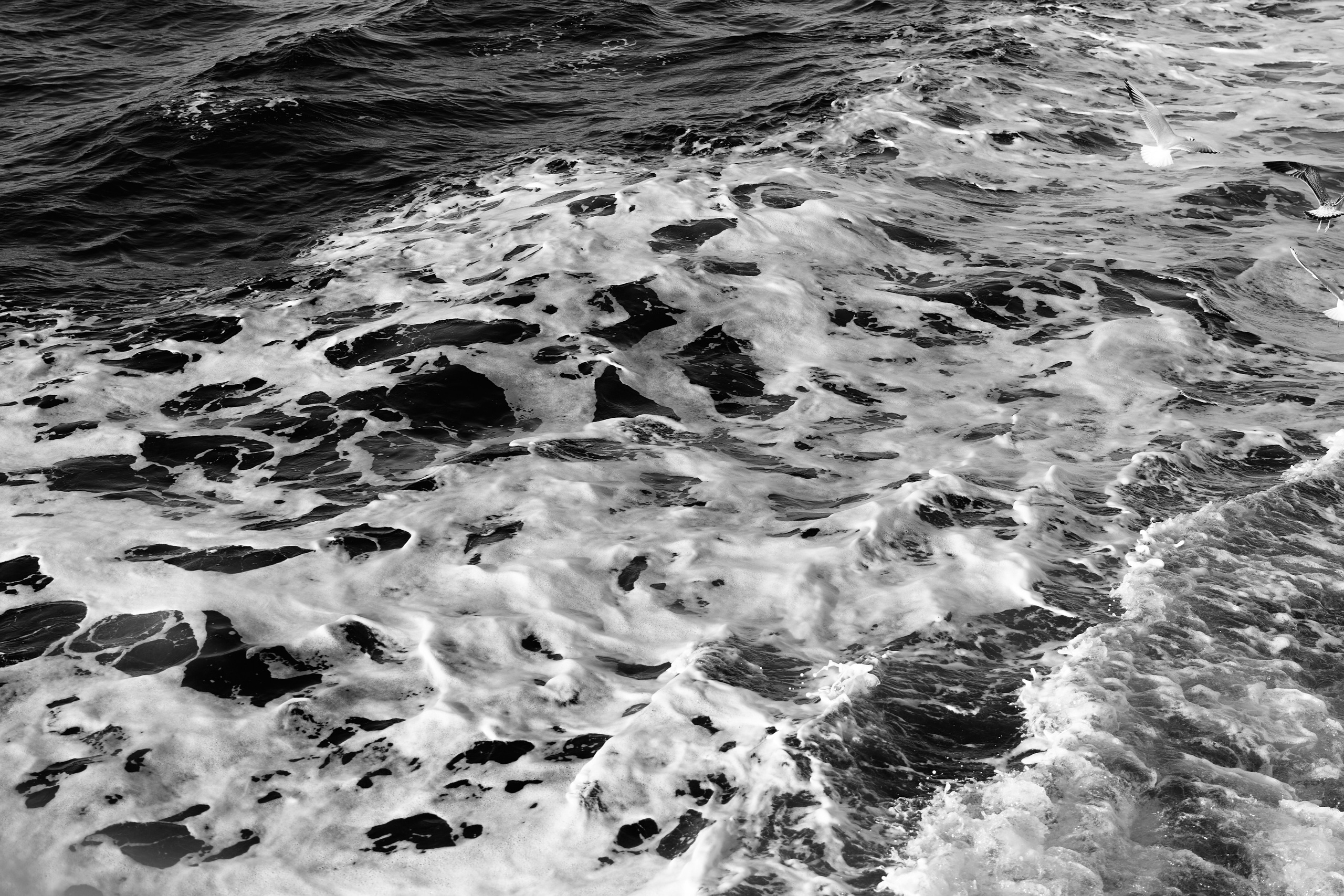 Стамбул 24. Фотограф Москва, Дима Пеллер