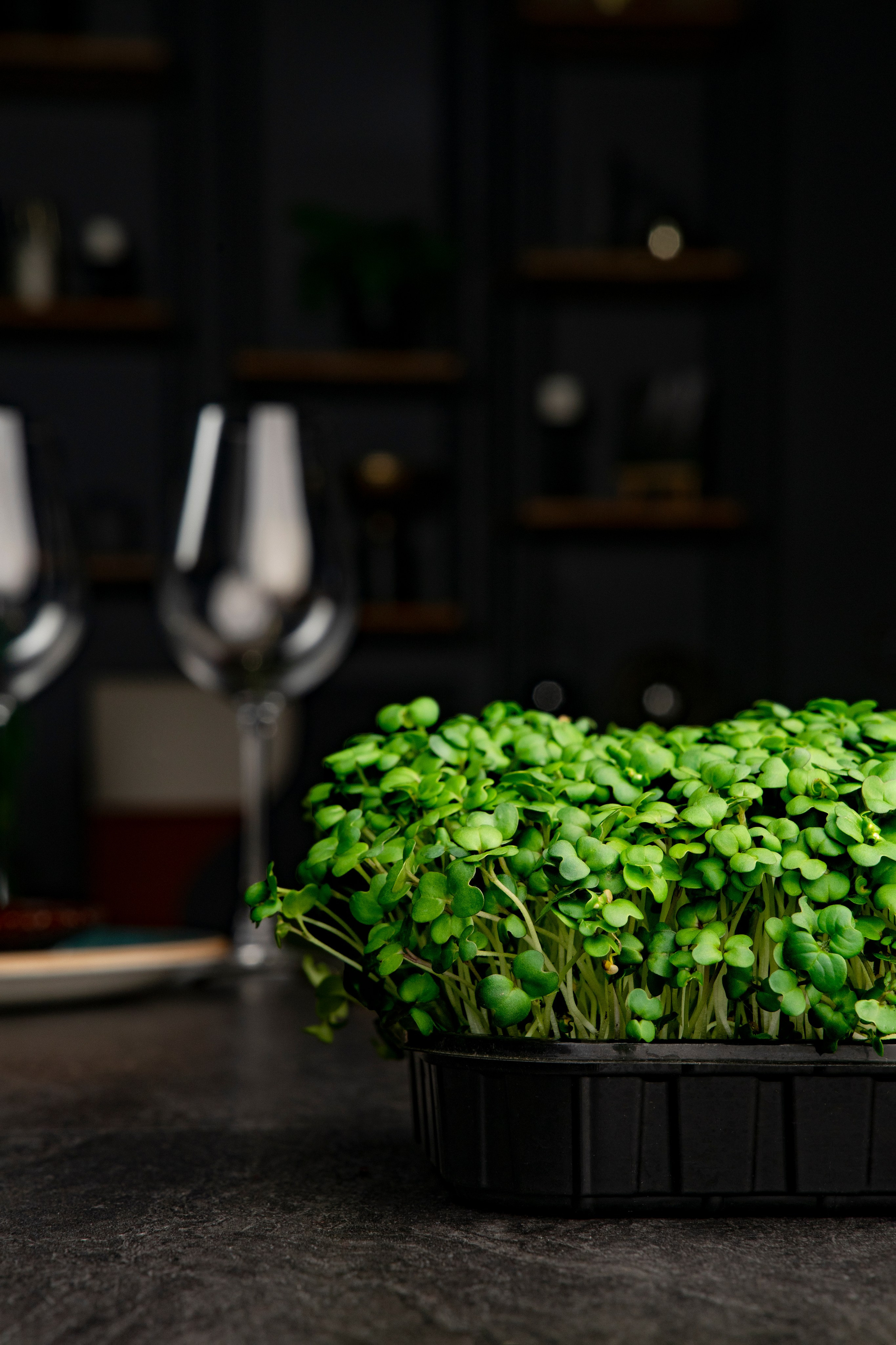 Фуд-фото. Фотосессия СПб. Фотограф Санкт-Петербург и Москва Дарья Лиховецкая