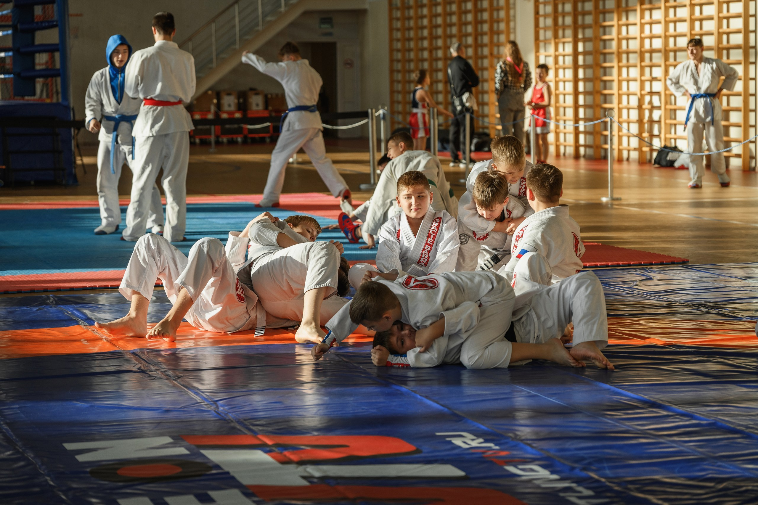 Фотограф Камчатка, Джиу Джитсу, Спорт, Соревнования, Боевые Искусства, РОСТ