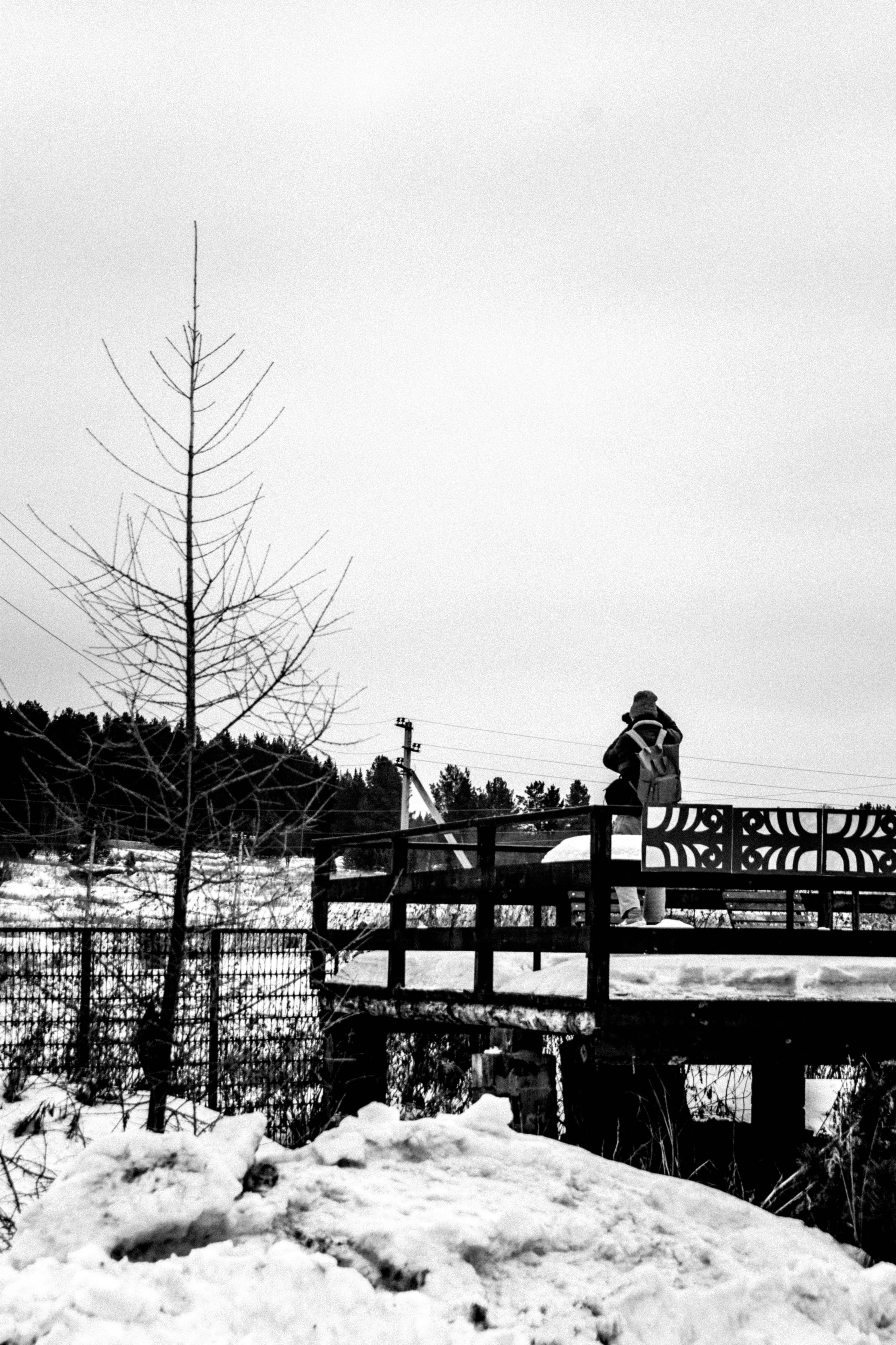 Мероприятия. Соня Мнема