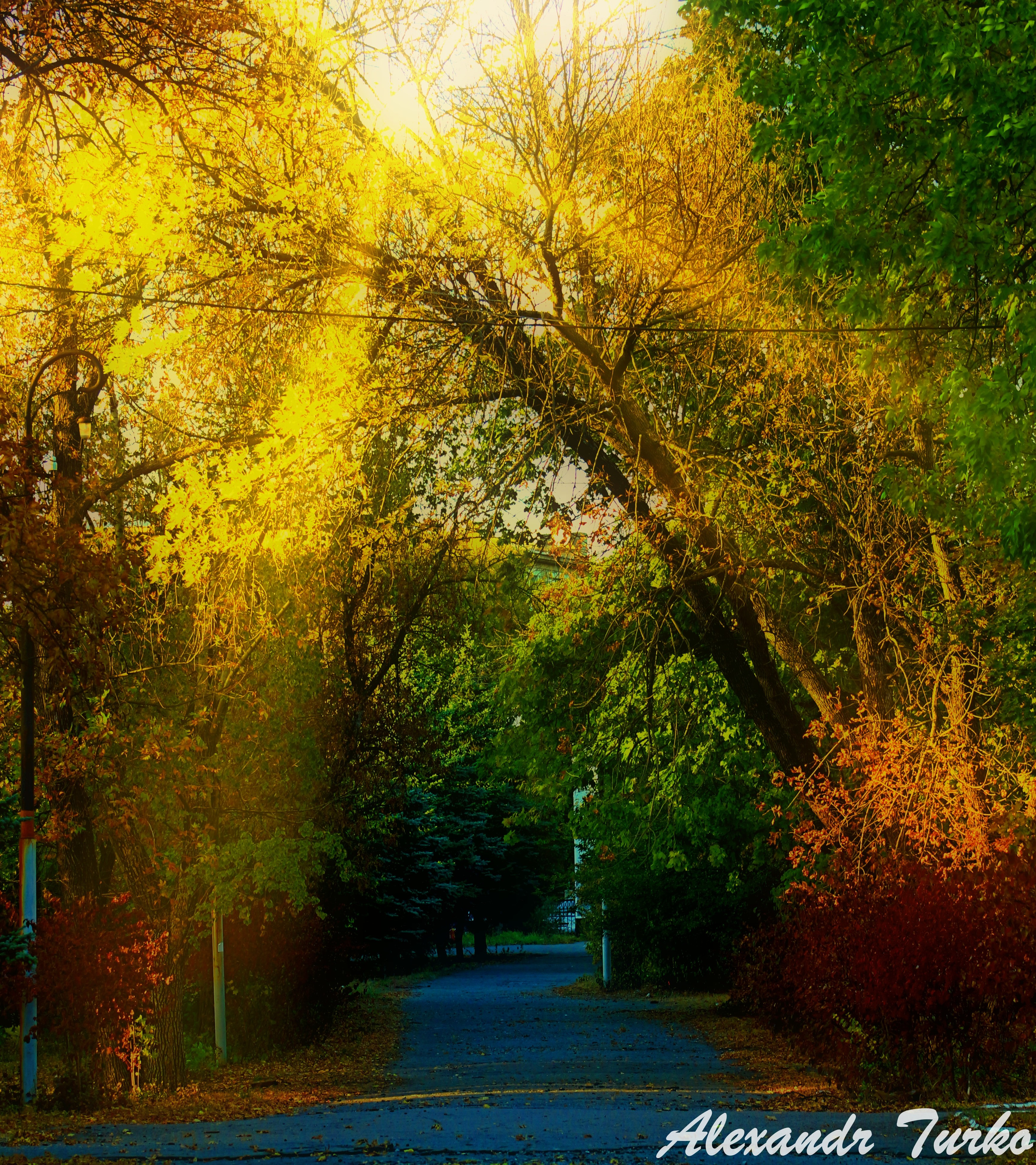 Пейзажи. Фотограф из Донецка Александр Турко