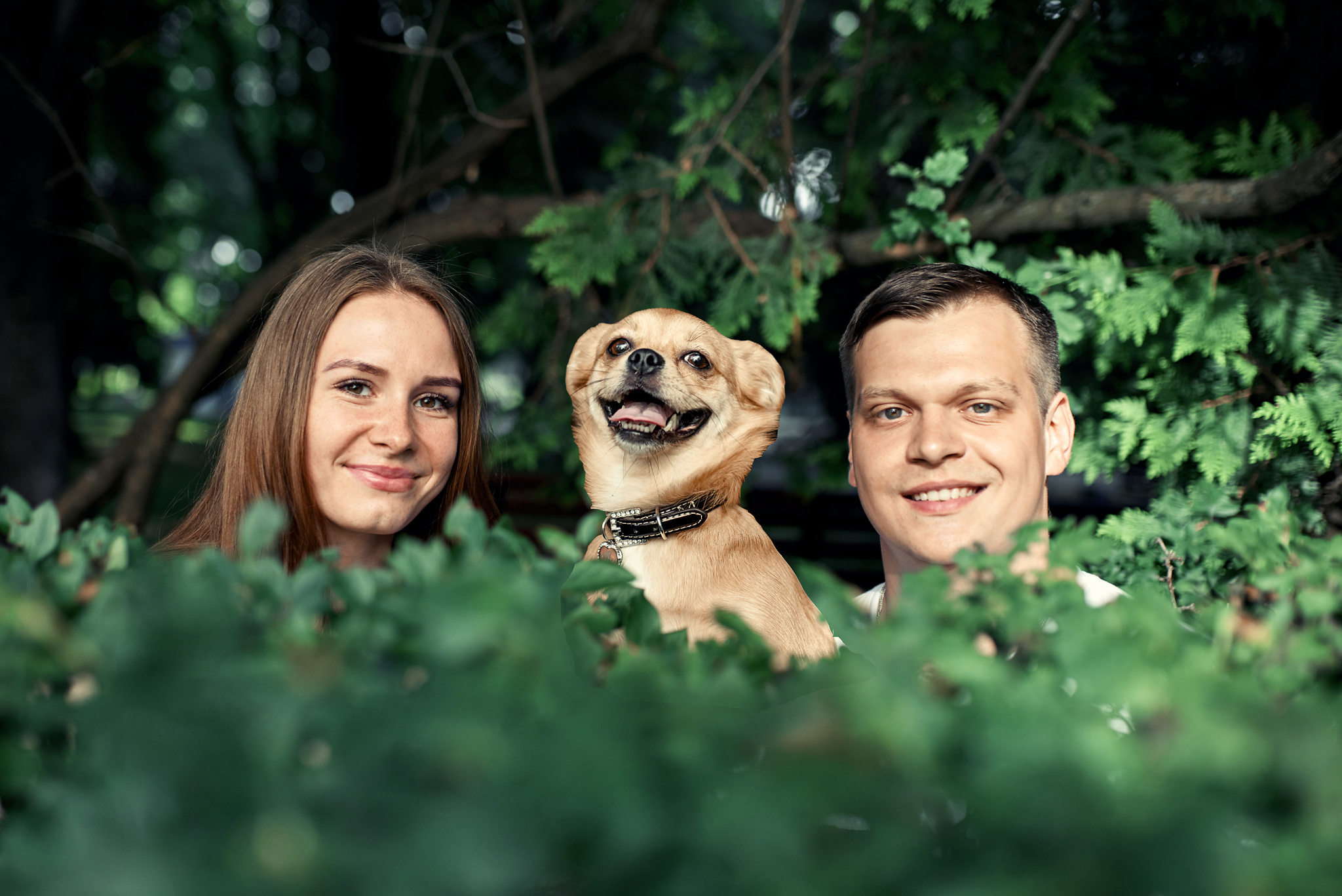 Алексей и Екатерина. Свадебный и портретный фотограф в Брянске Дмитрий Борисов