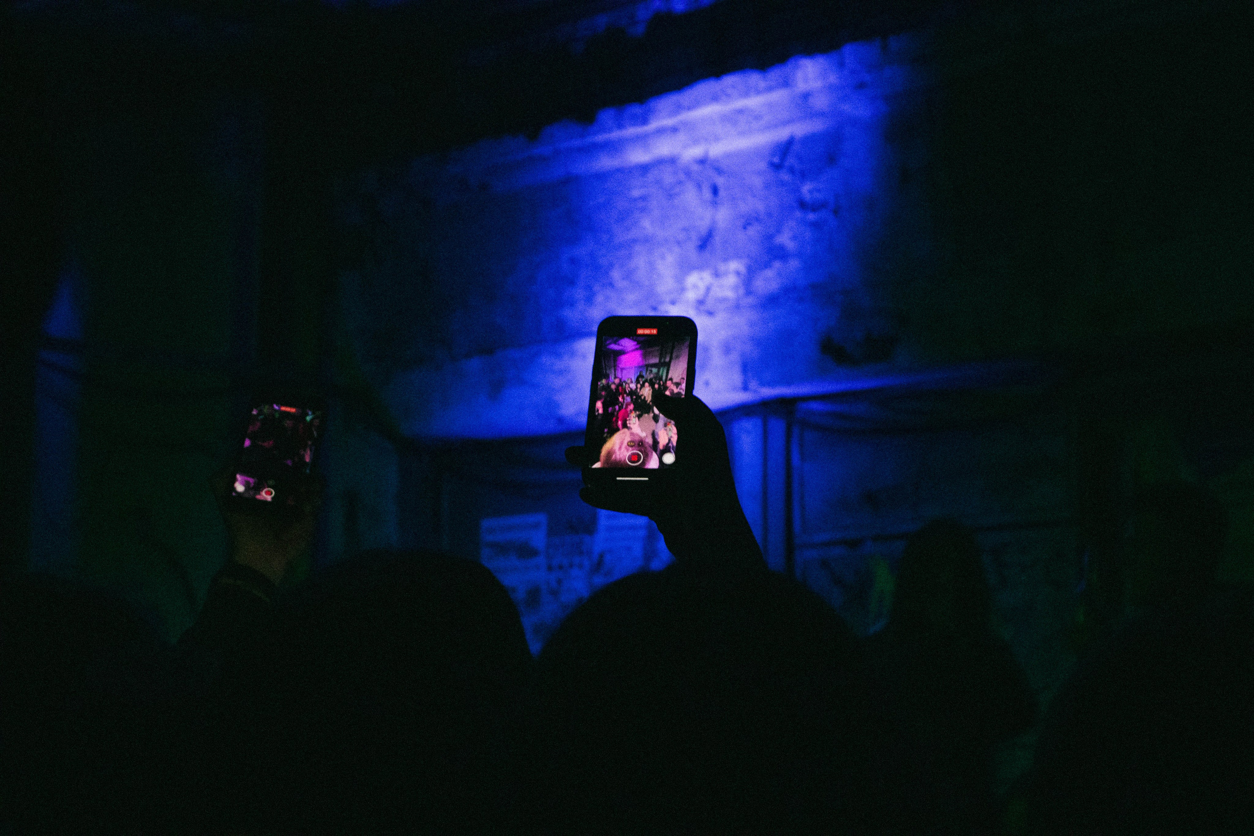 Him 08.06. Художник и фотограф в Иркутске Алтухова Полина