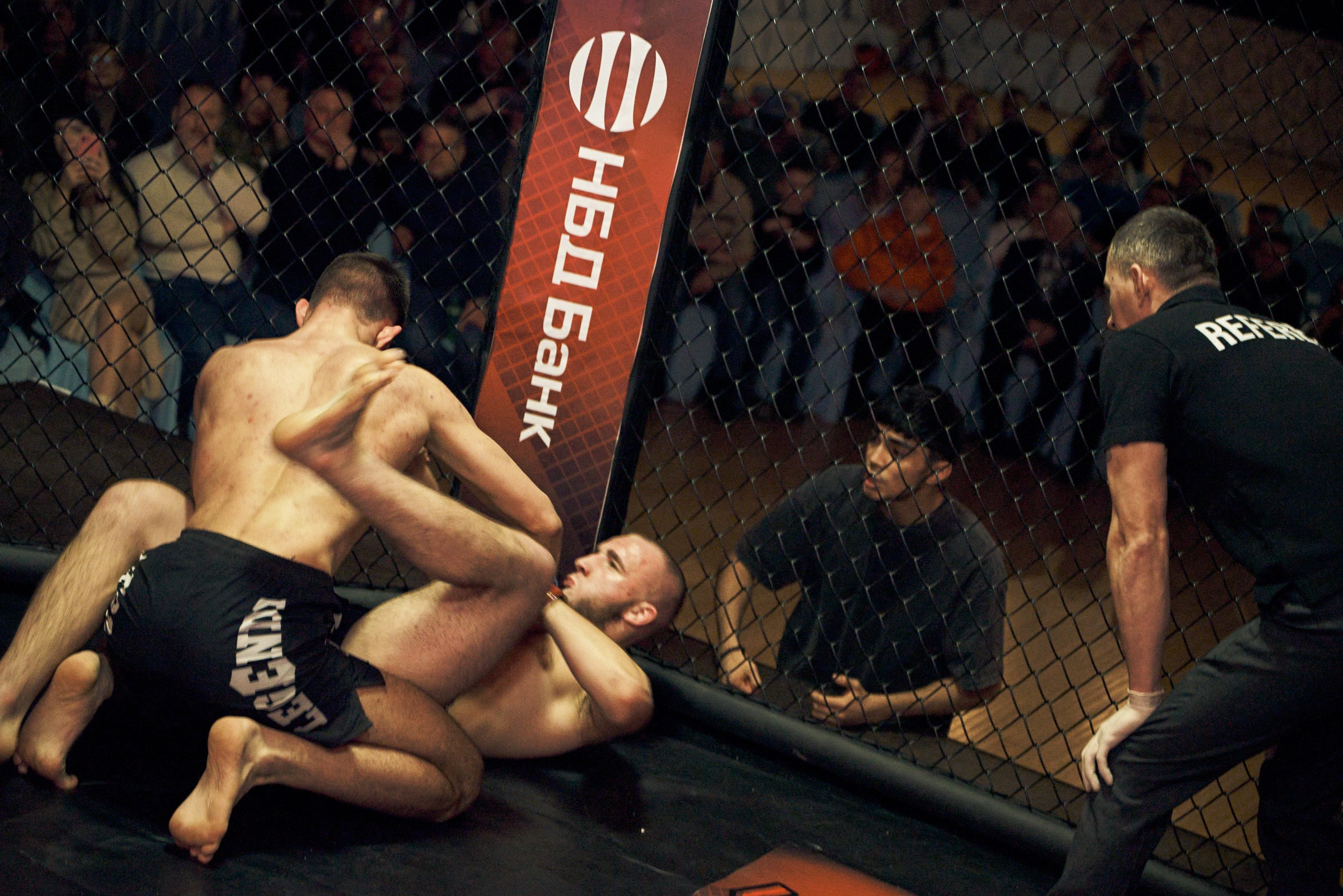 Бои. Маляревич Дмитрий свадебный фотограф