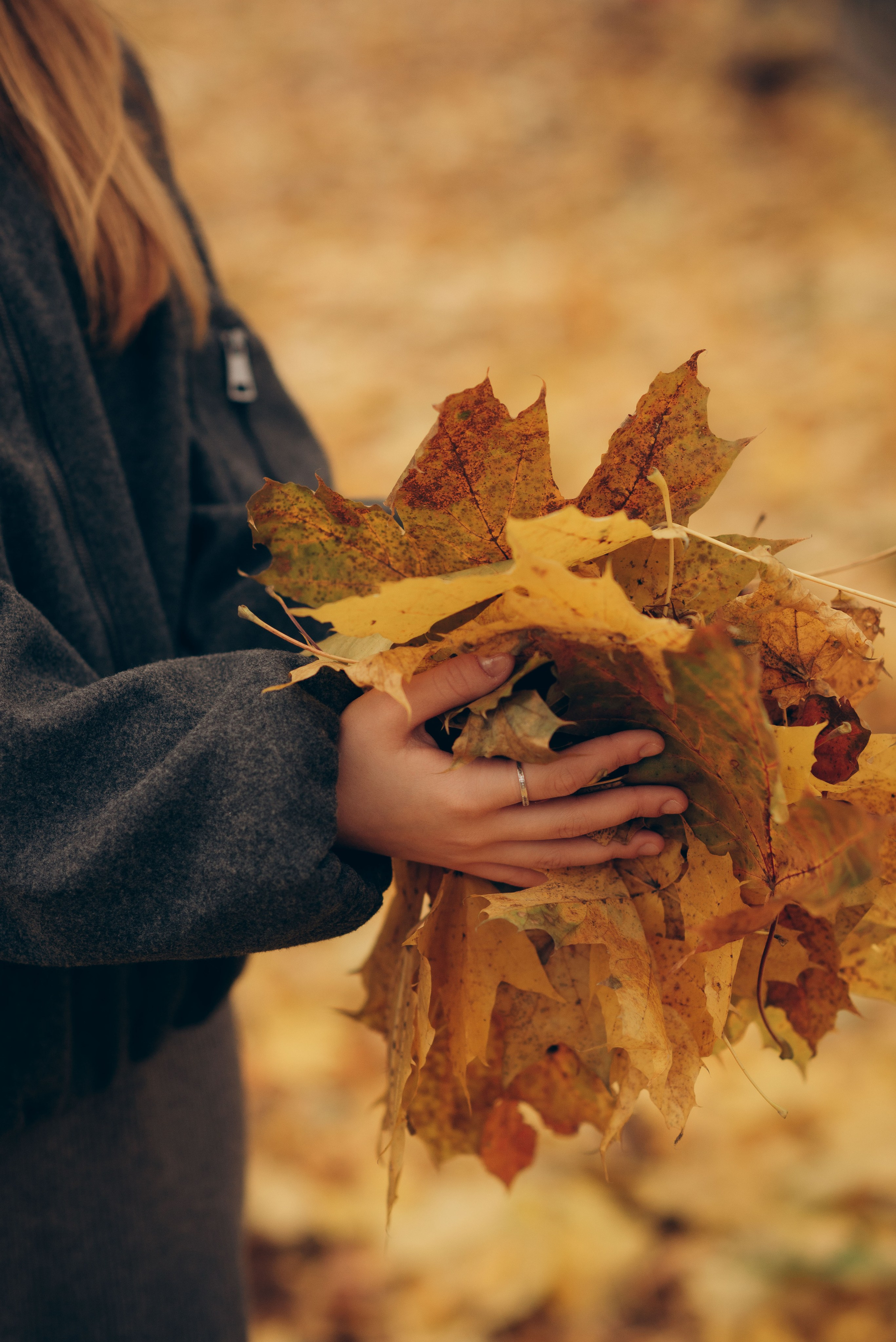 Осенняя прогулка. Семейный фотограф в Домодедово и Москве Елена Пичугина
