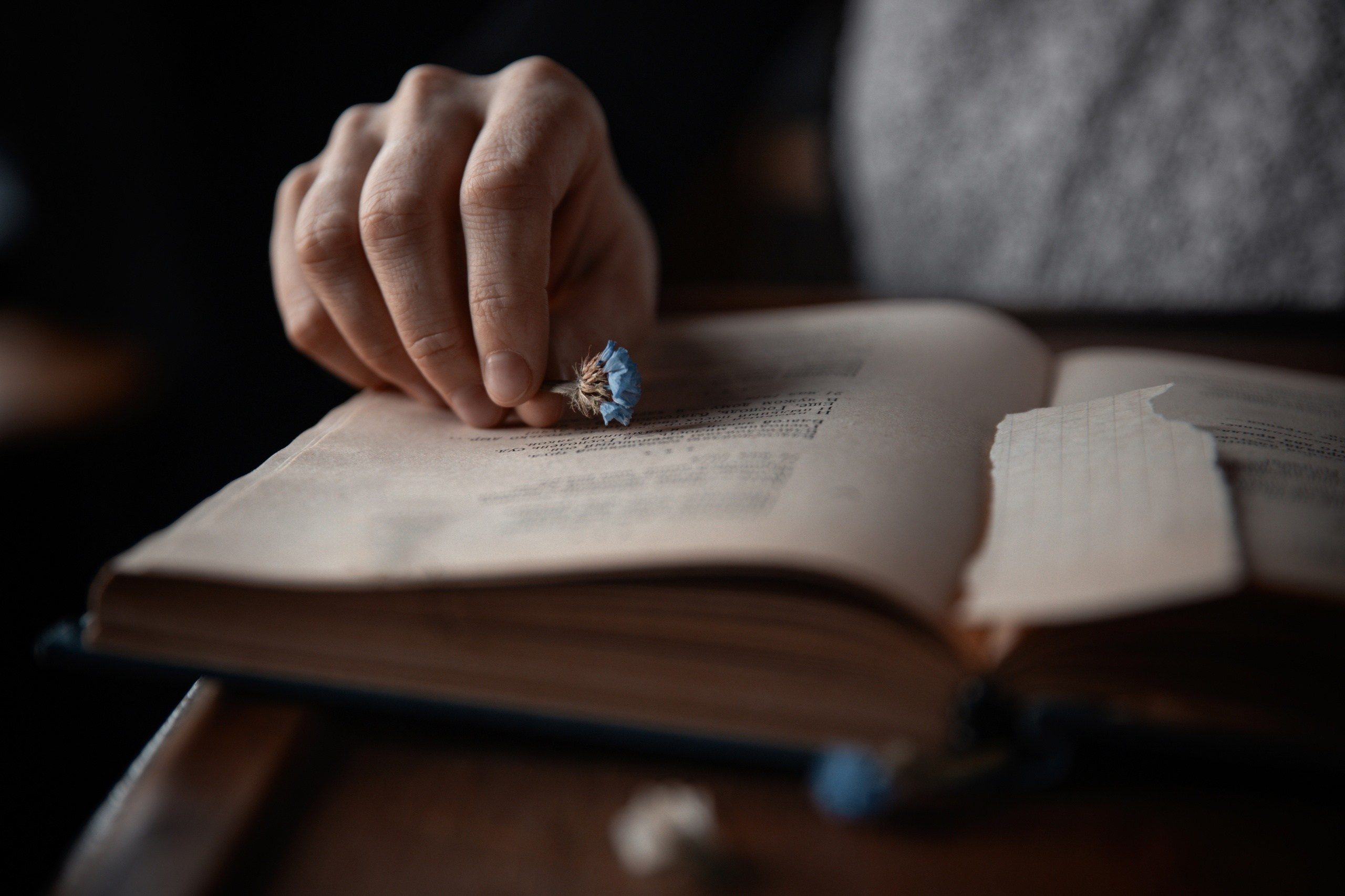 Владислав Крылов фотограф | Портфолио. Профессиональный фотограф в Воронеже Владислав Крылов