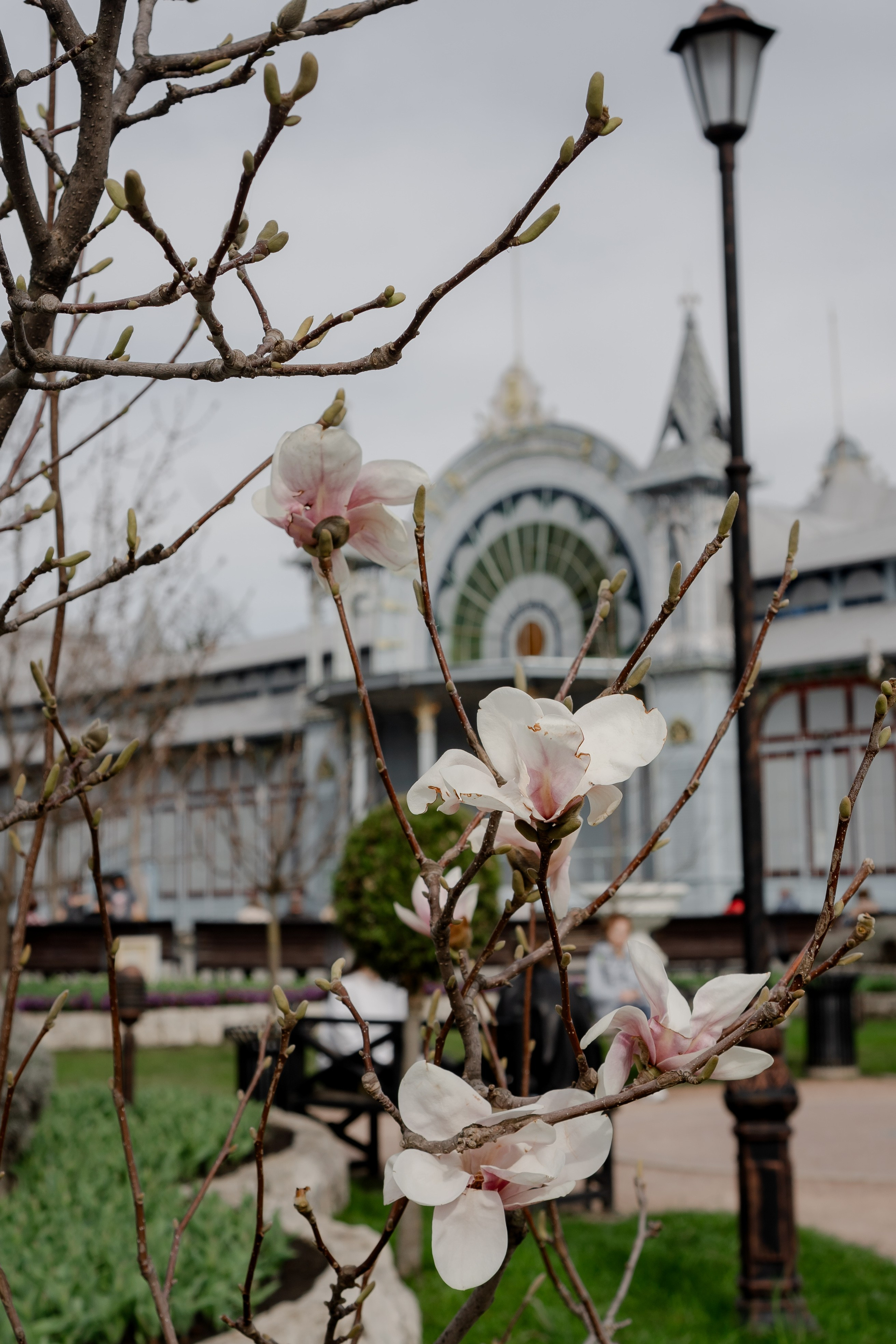 ПЯТИГОРСК. Профессиональный фотограф, Санкт-Петербург — Виктория Богомолова