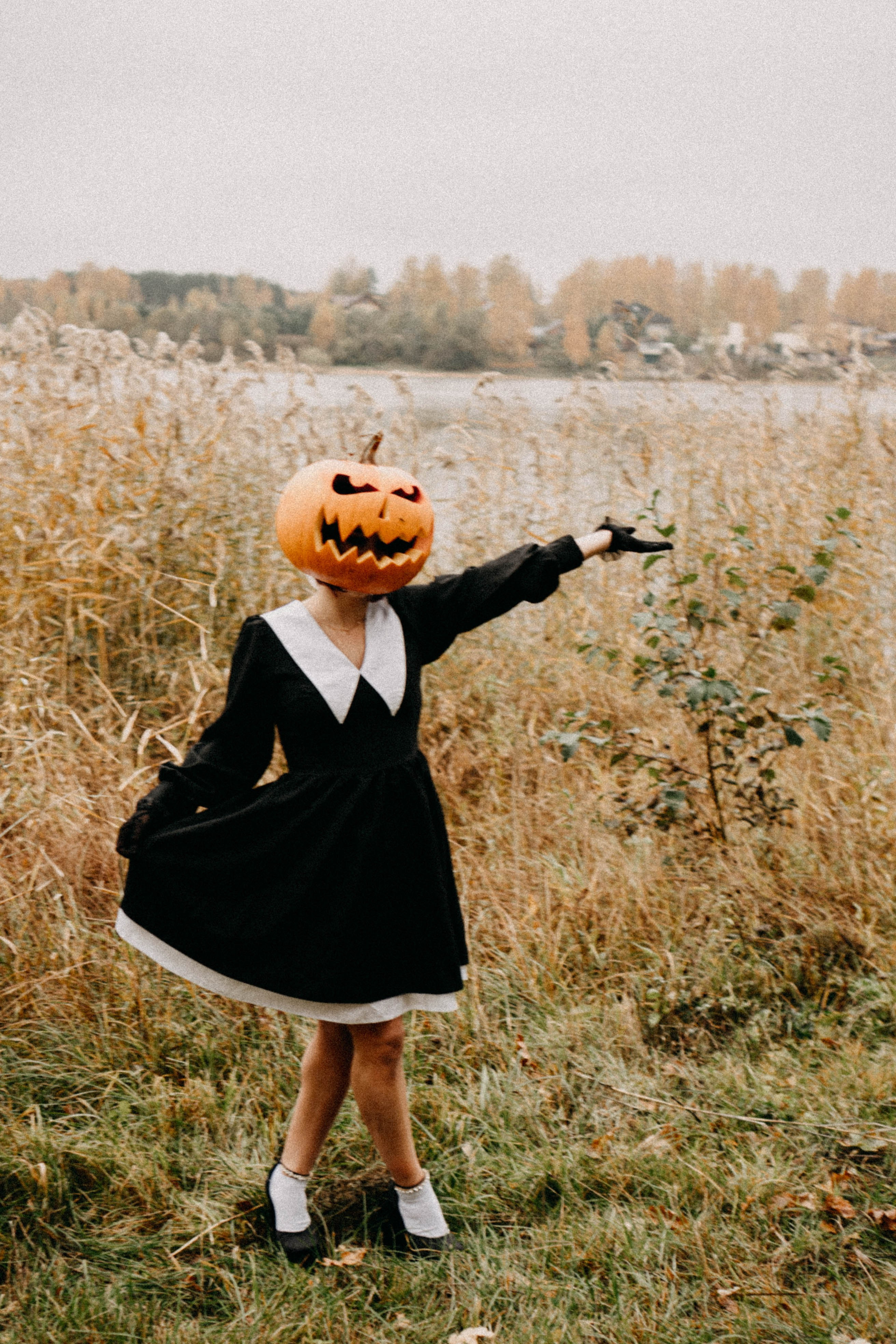 Осеняя. Профессиональный фотограф, Санкт-Петербург — Виктория Богомолова