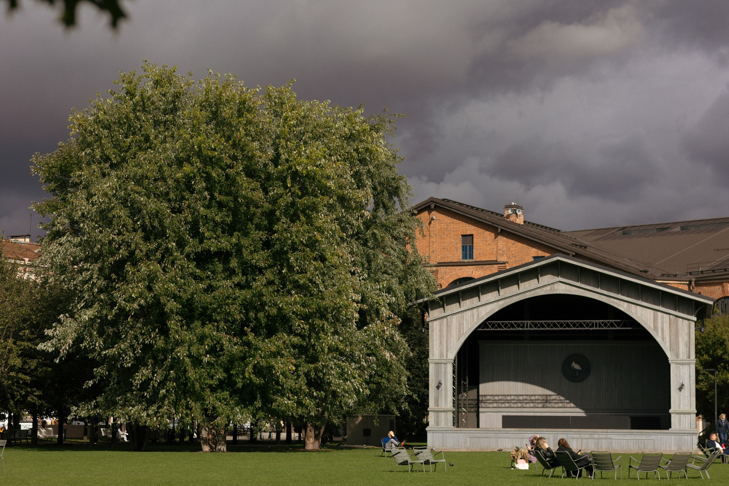 Денис и Ольга. @dariazphoto свадебный фотограф