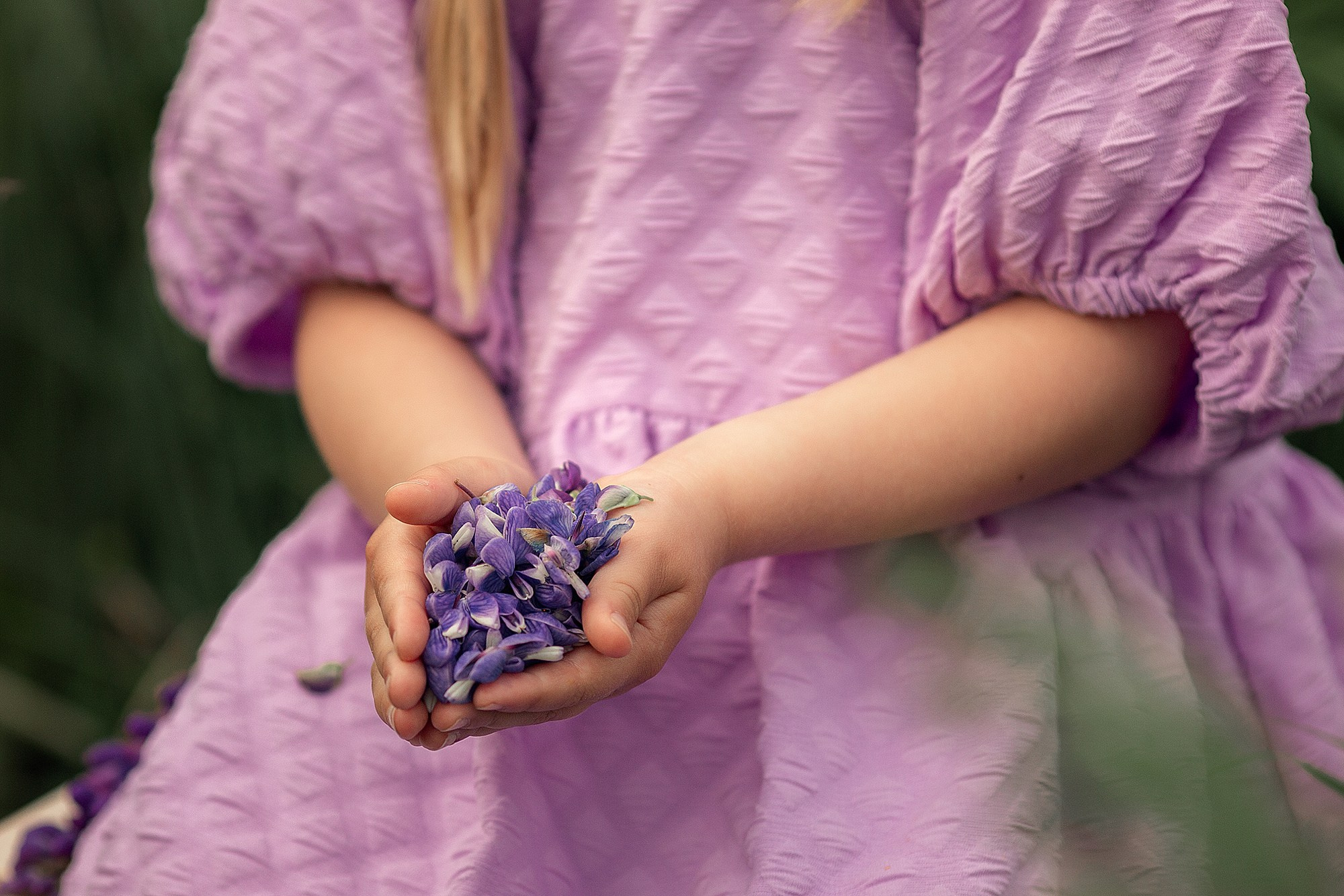 Красивая семейная съемка в люпиновом поле. Tatyana Nadezhdina Family photographer