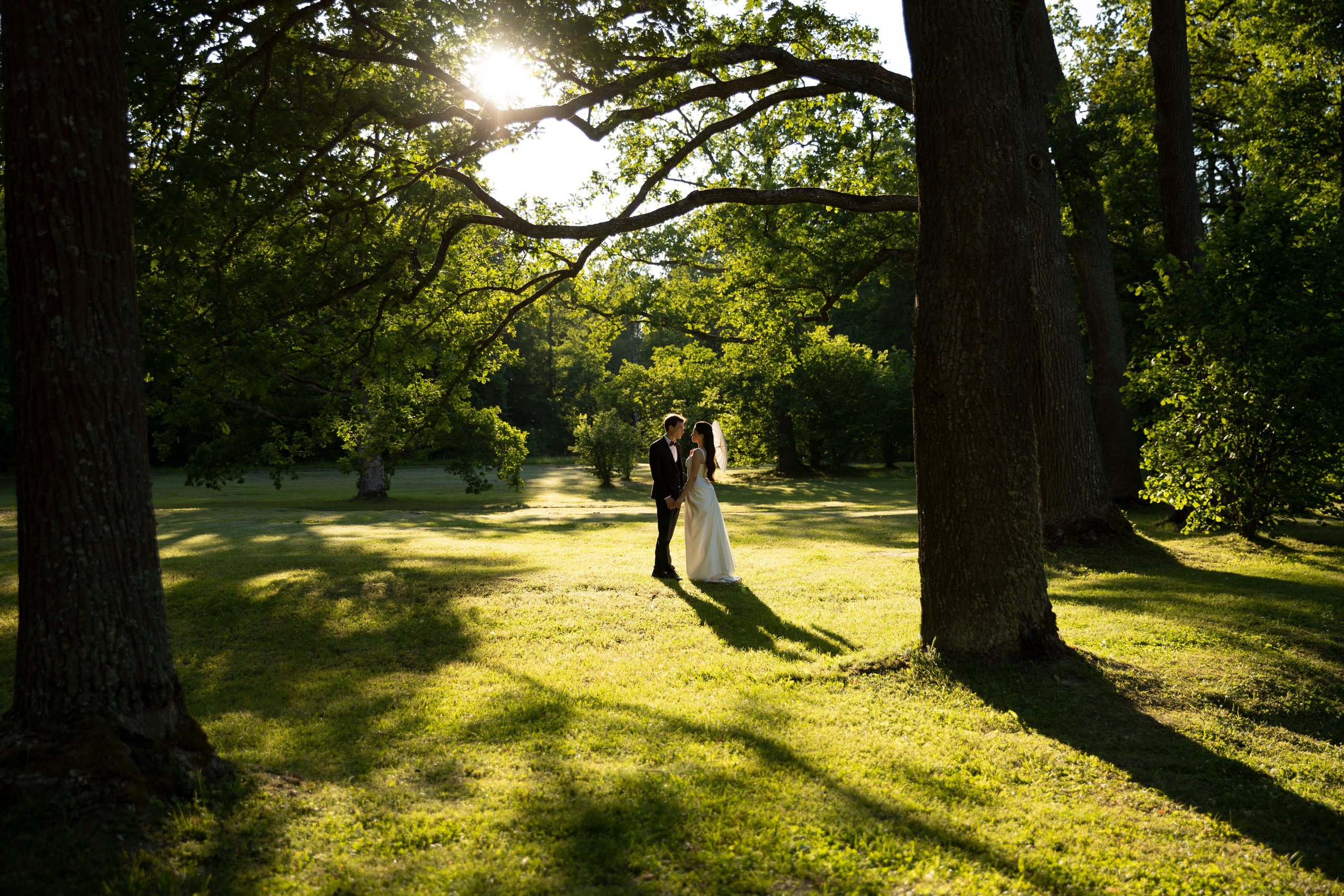 Анастасия и Иван. Свадебный и портретный фотограф