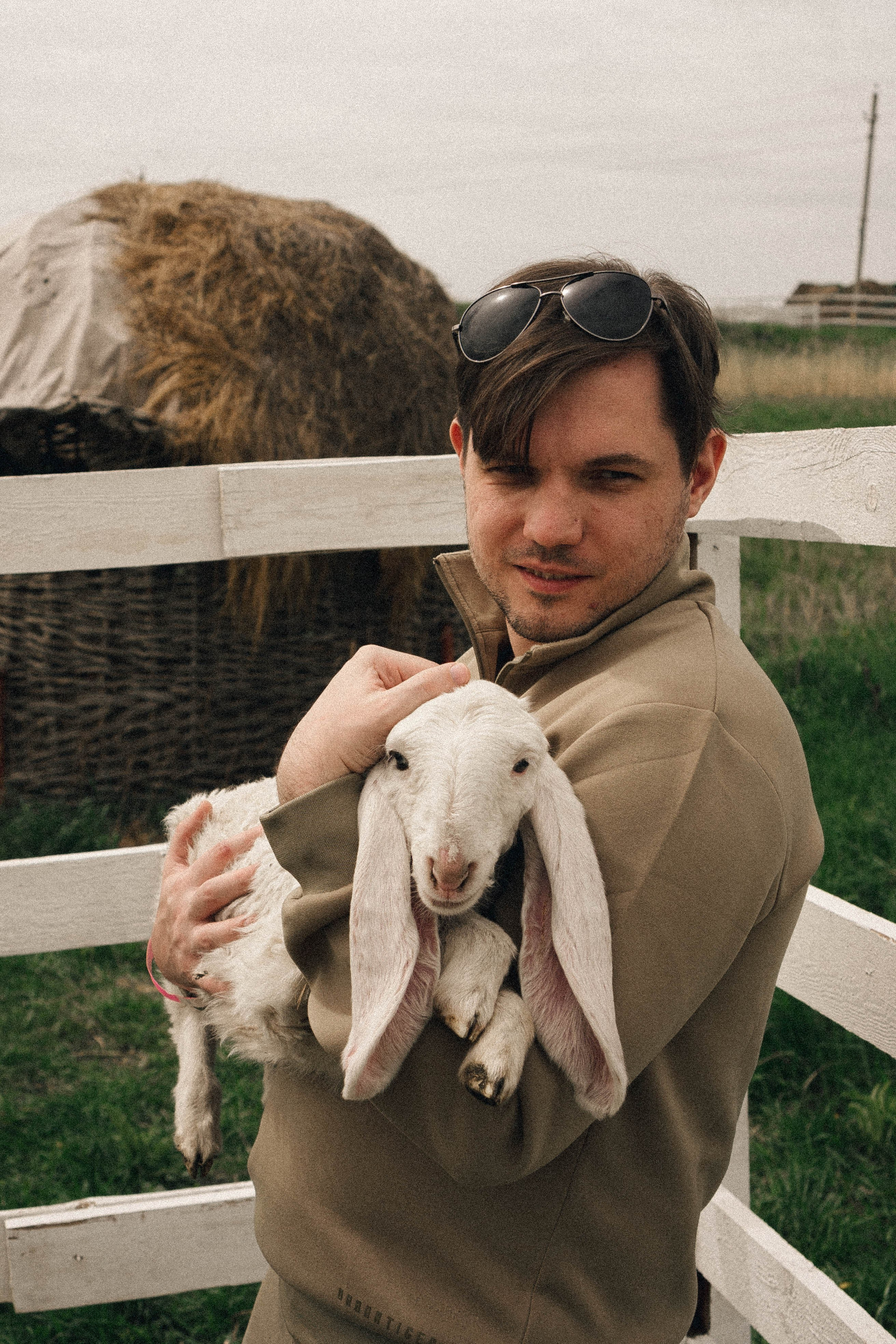 Ферма Альпак. Профессиональный фотограф, Санкт-Петербург — Виктория Богомолова