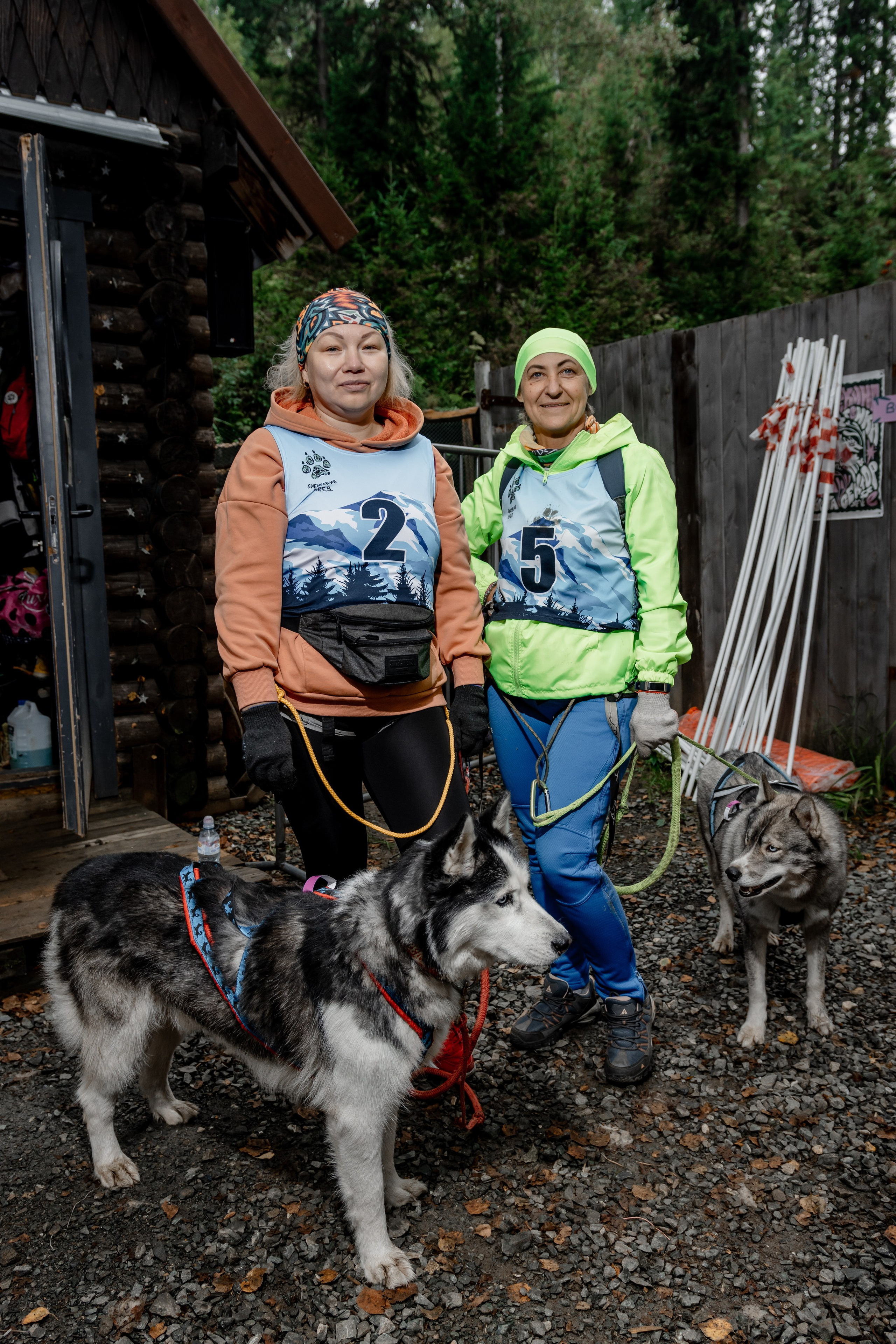 Дог-треккинг