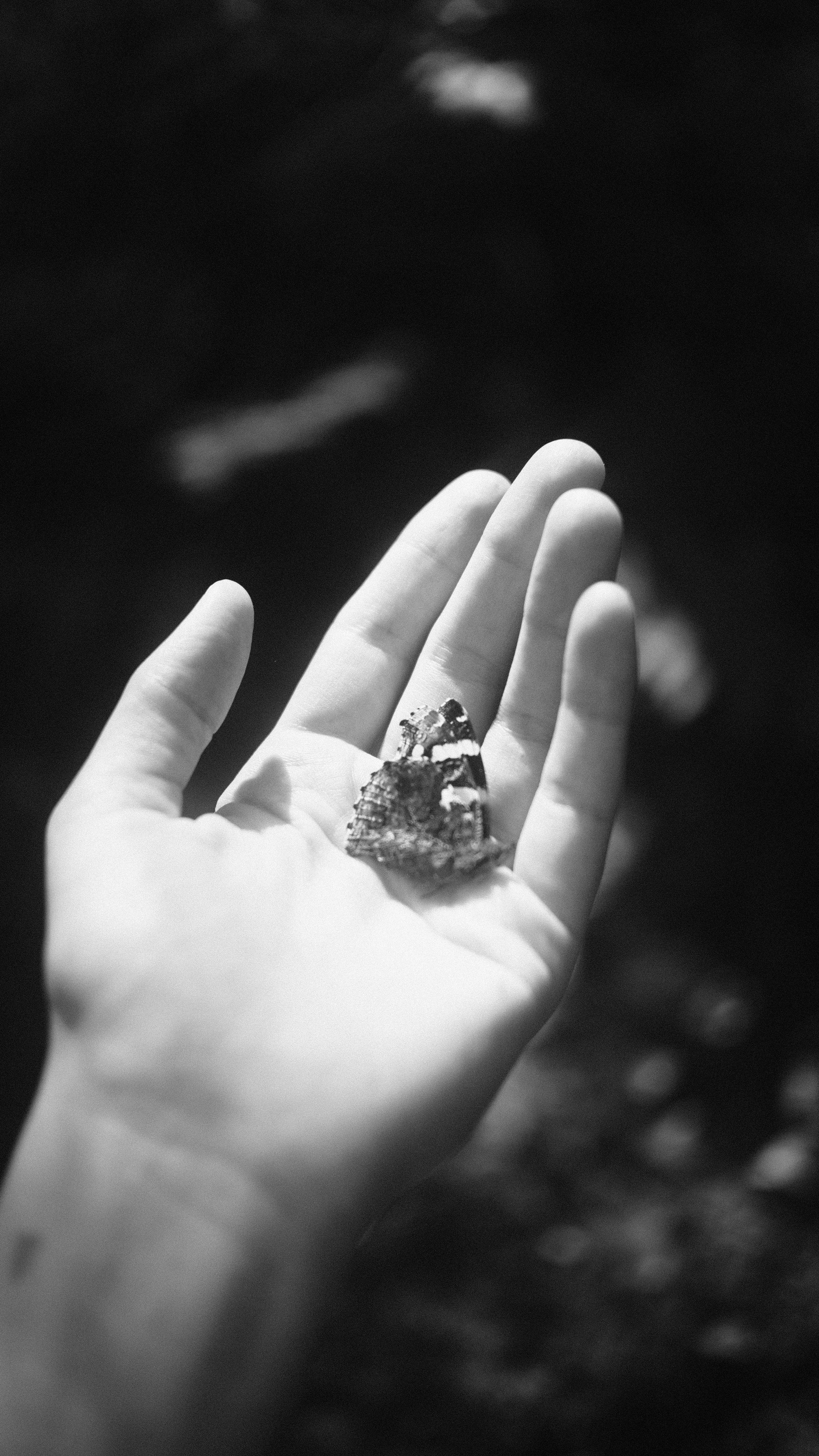 Портреты. Фотограф Анна Кирнос