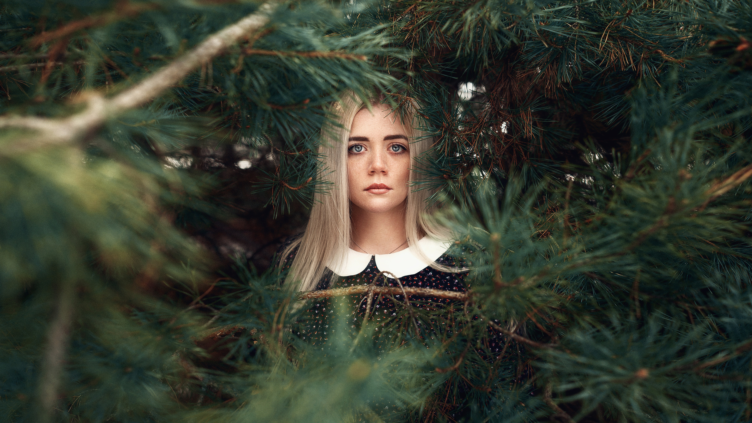 Девушка в окружении елок. Автор: Роман Яковенко