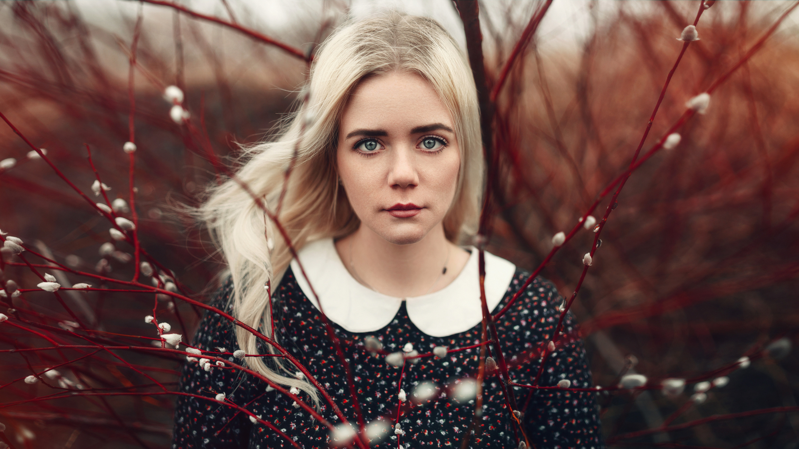 Автор: Роман Яковенко