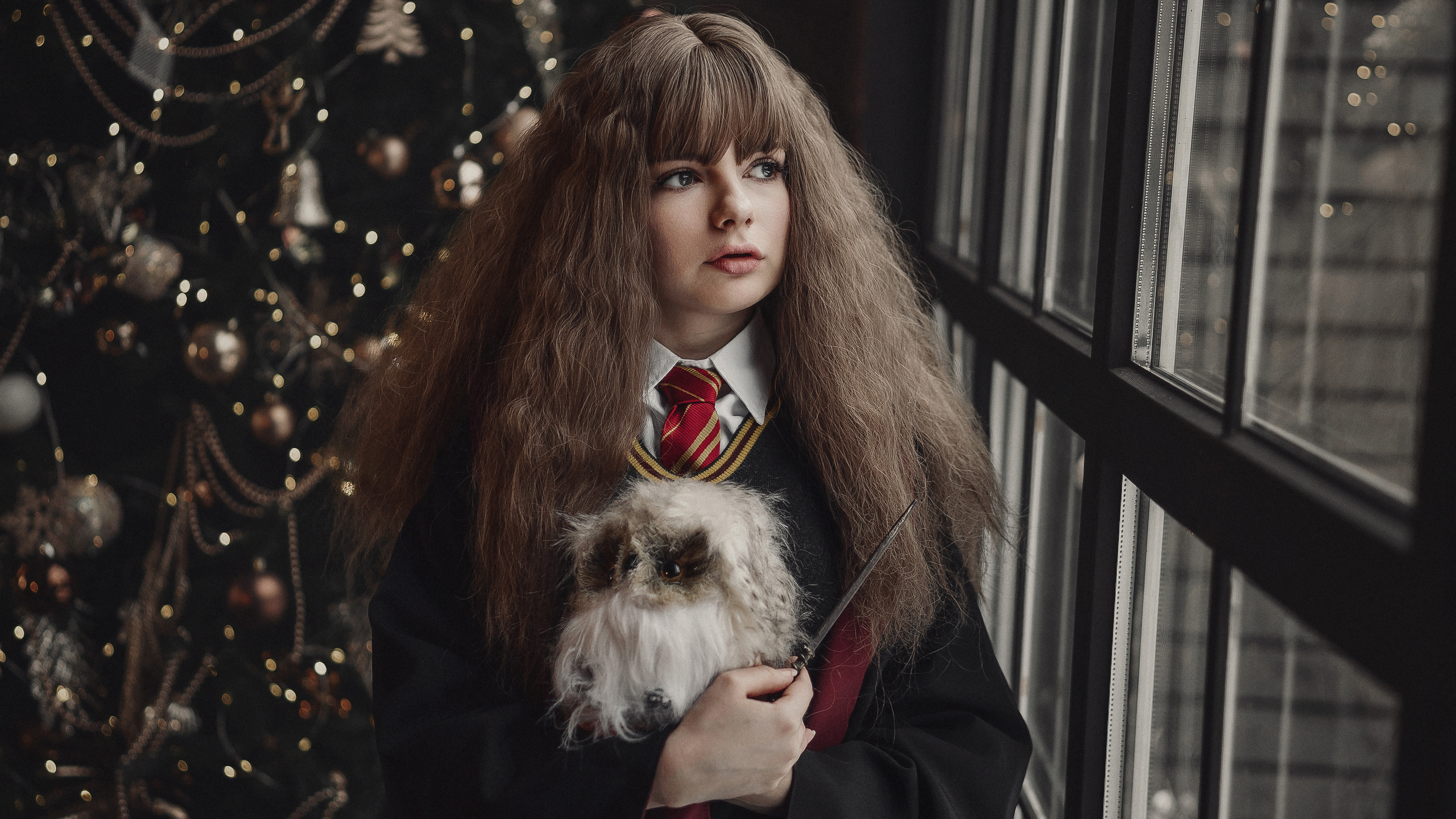 Девушка в образе Гермионы стоит у окна и держит в руках маленькую сову.