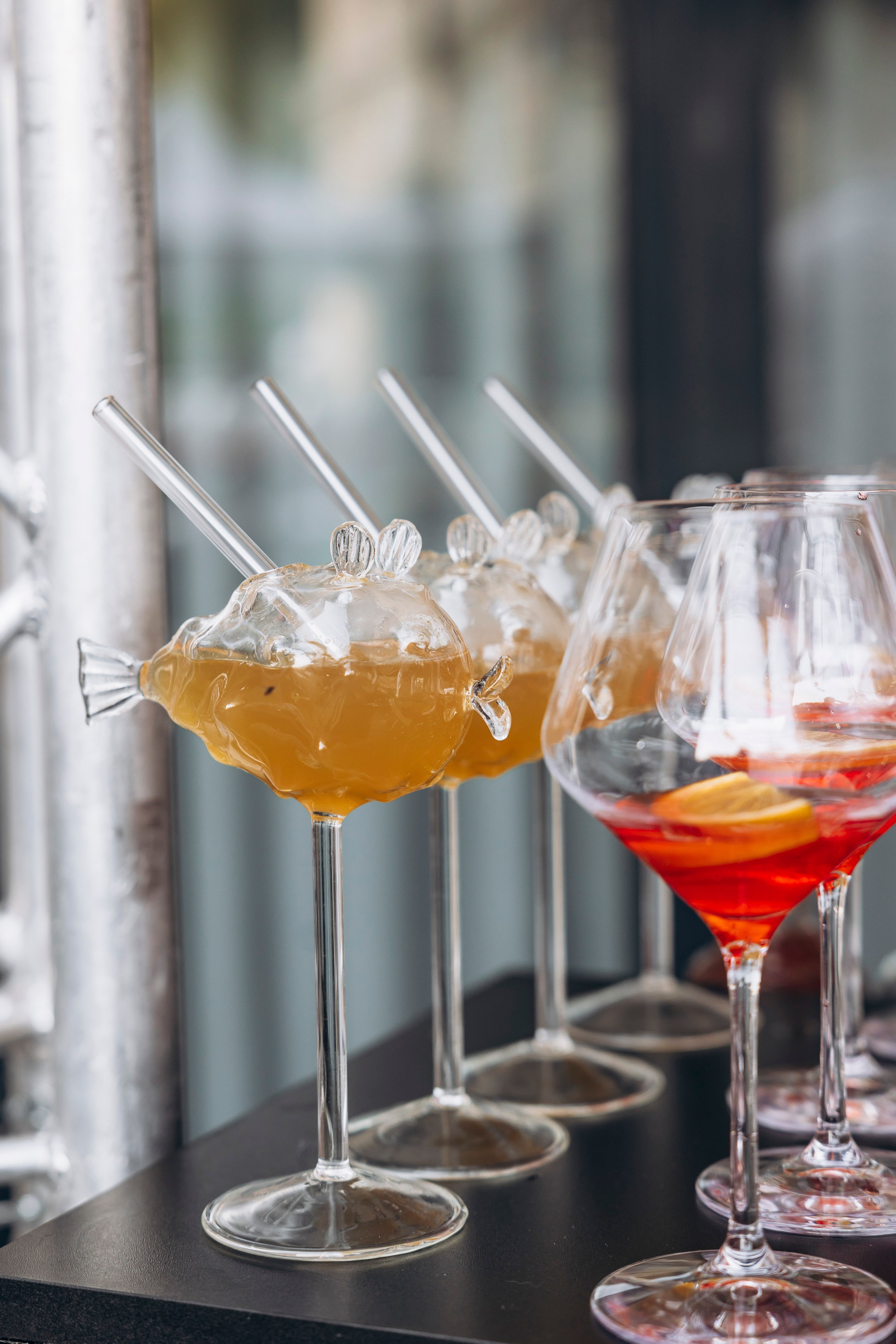 Открытие отеля Royal Lions Grand Hotel 15 сентября 2024. Фотограф в Калининграде свадебная фотография, репортажная, фотосессии